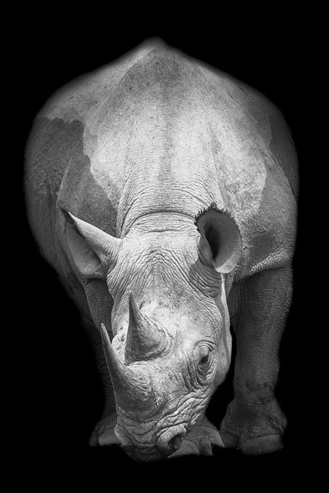 Marco Simoni - "13000 grams" BIG FORMAT