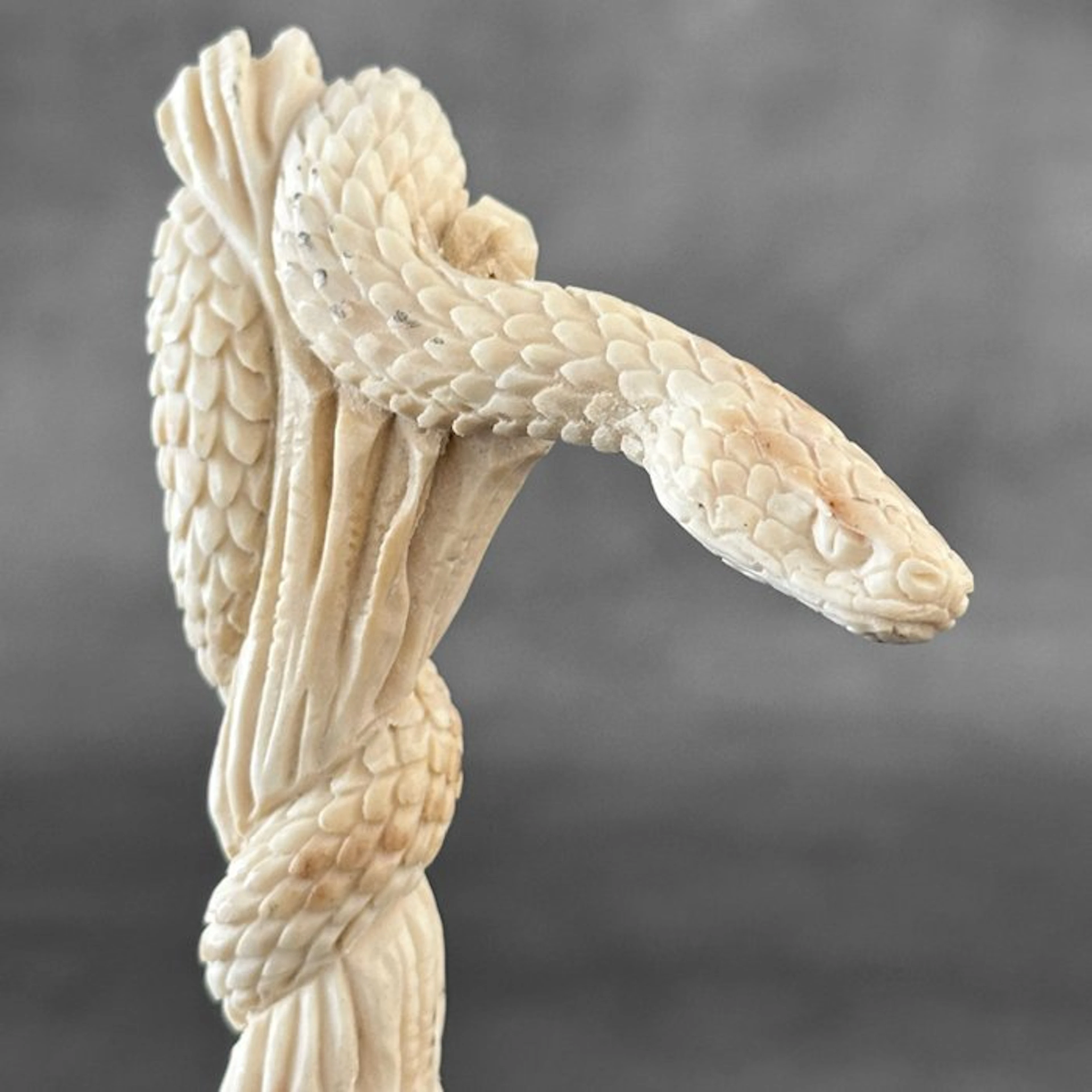 Carving, NO RESERVE PRICE - Stunning Snake carving from...