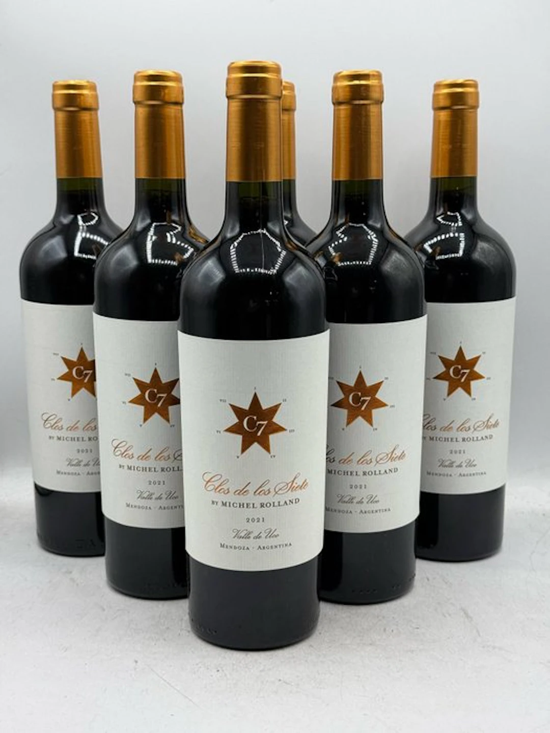 2021 Clos de Los Siete Michel Rolland - Mendoza - 6 Bottles (0.75L)