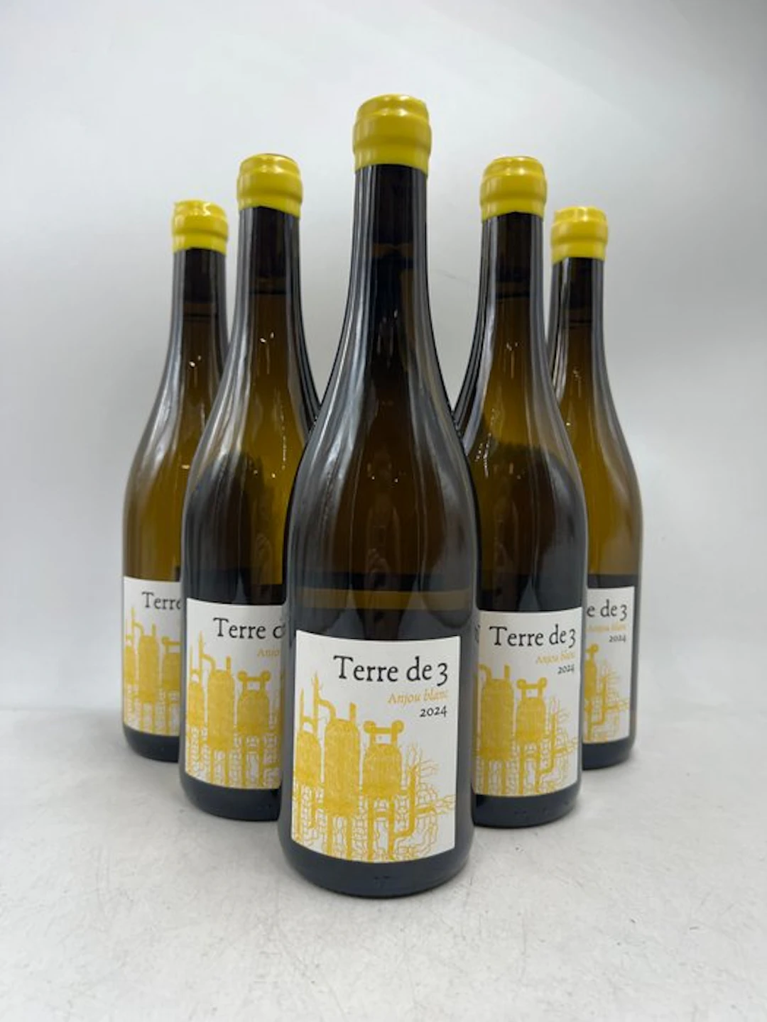2024 Terra Vita Vinum "Terre de 3" - Anjou - 6 Bottles (0.75L)