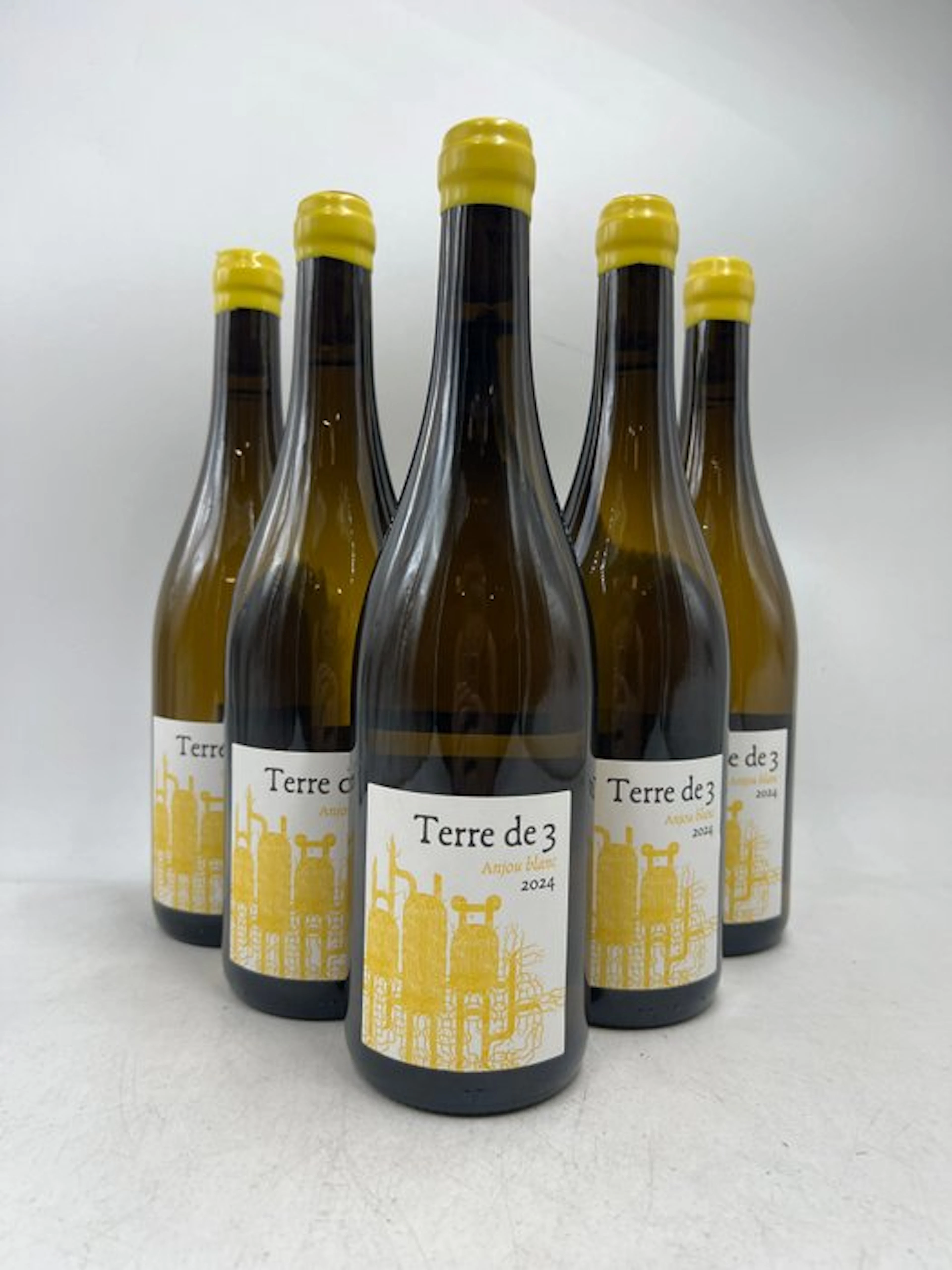 2024 Terra Vita Vinum "Terre de 3" - Anjou - 6 Bottles (0.75L)