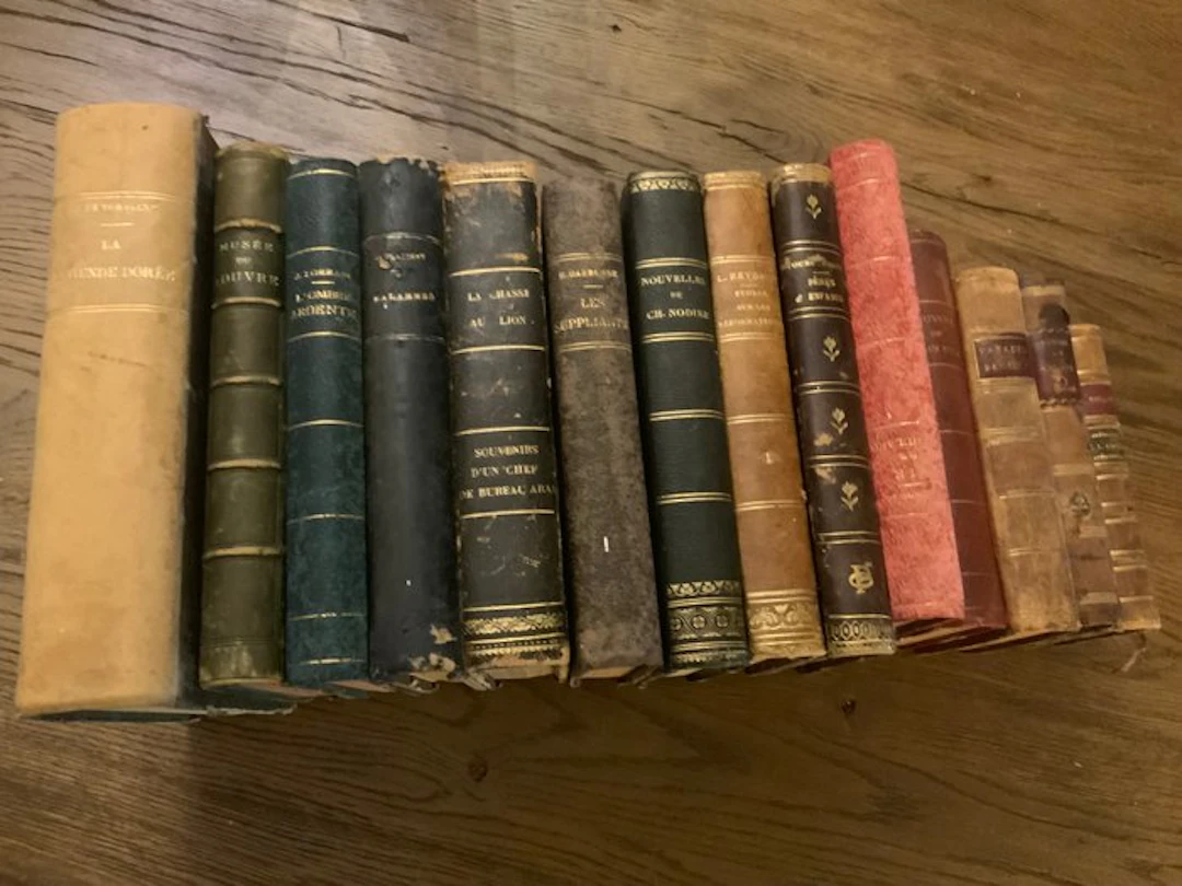 Divers - Superbe Ensemble de Bibliothèque - Sélection de 14 vol