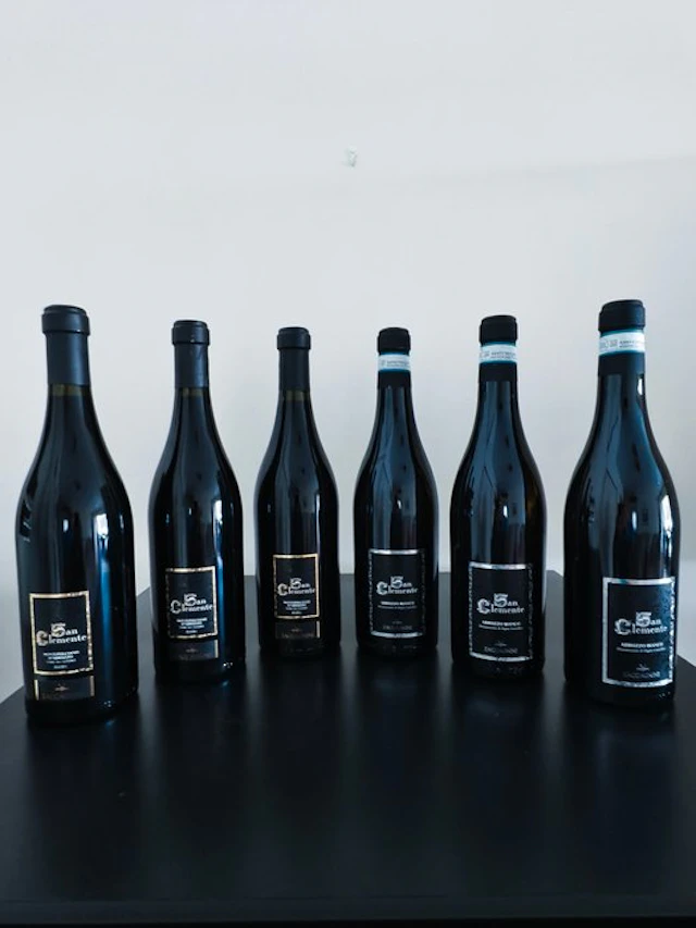 2010 Zaccagnini