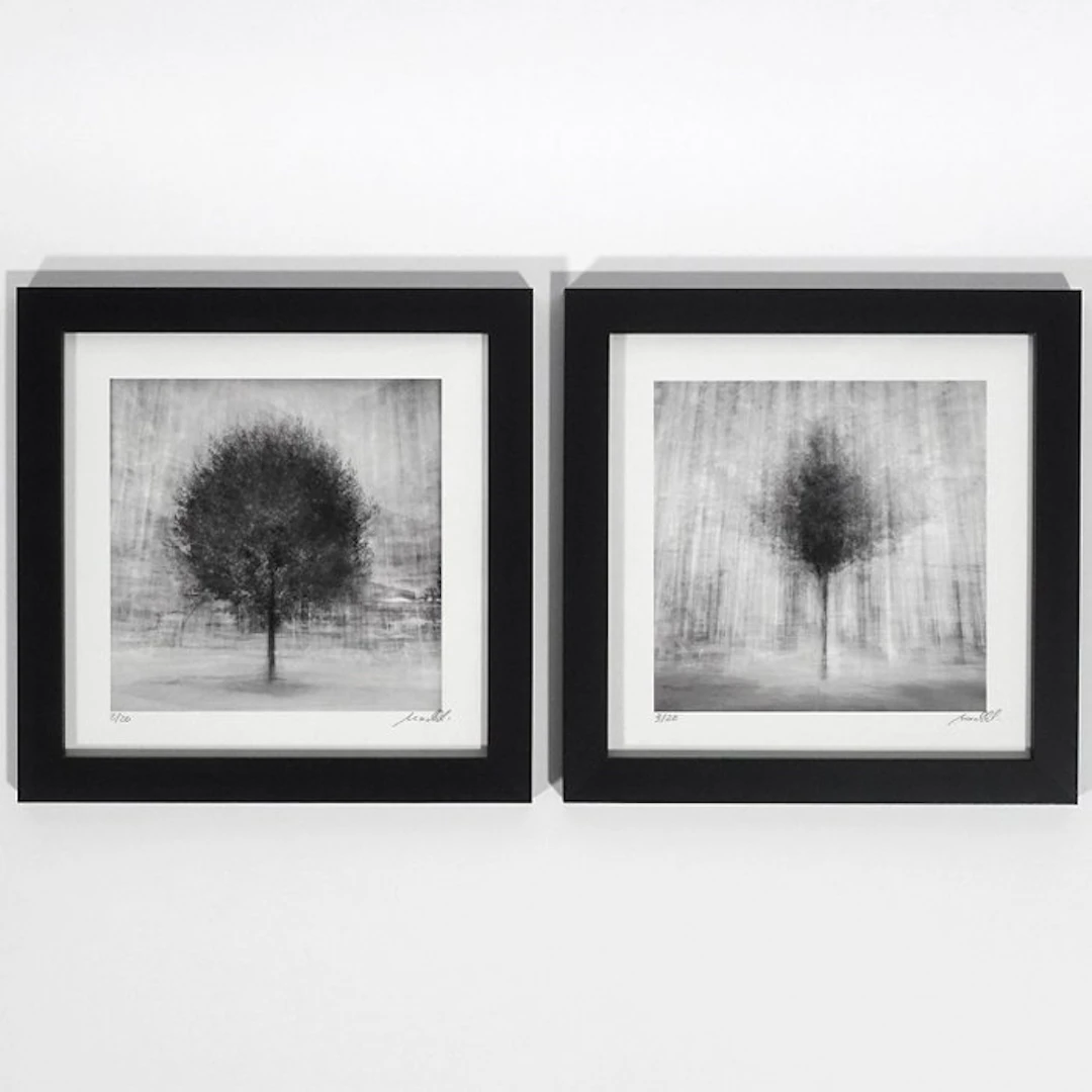 Frank Machalowski - Two framed photographs from the series 'stadtbaum'