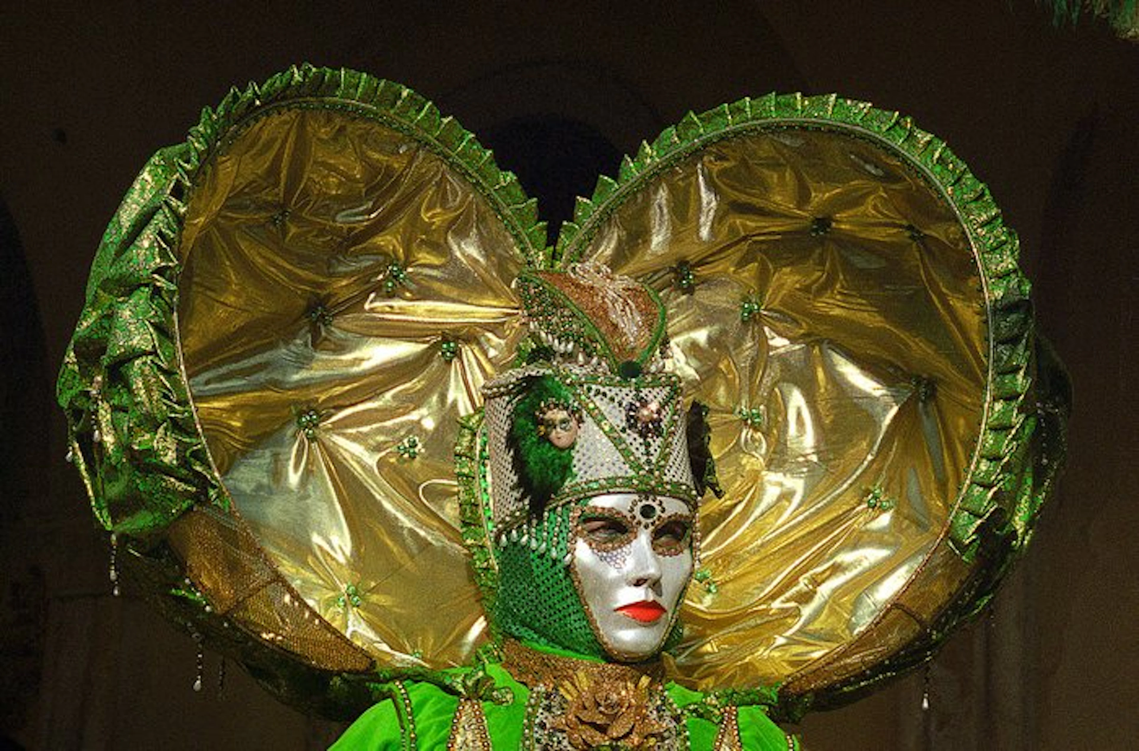 Hubertus Hierl (1940) - Carnevale di Venezia (Venedig - 2012)