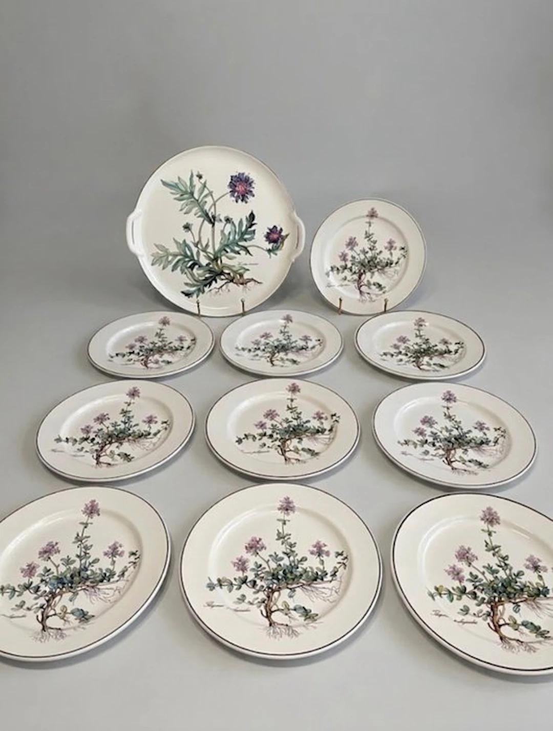 Villeroy & Boch - Dinner set - Porcelain - Botanica