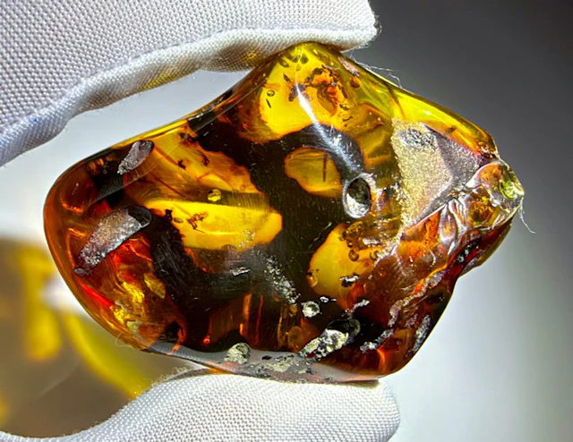 Dominican Amber!! AAA Quality!! No Reserve Price- 37.21 g