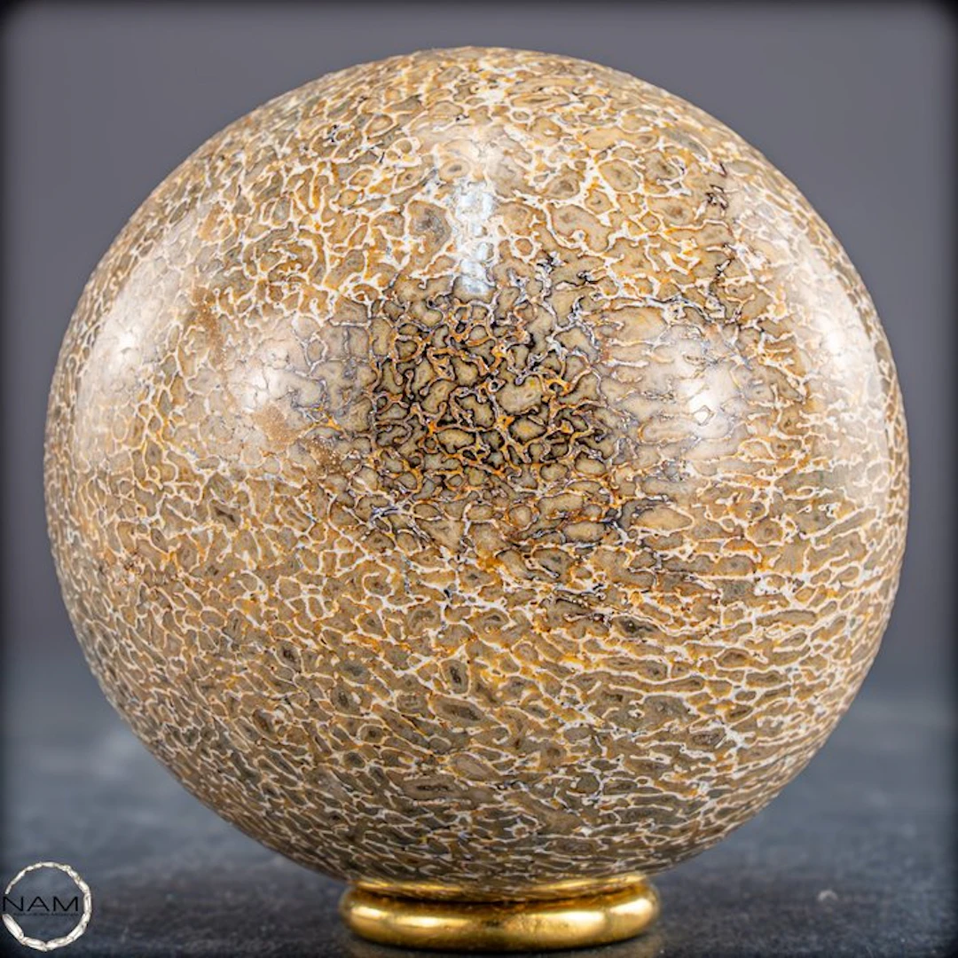 Natural petrified dinosaur bone ball – fossilised unique...