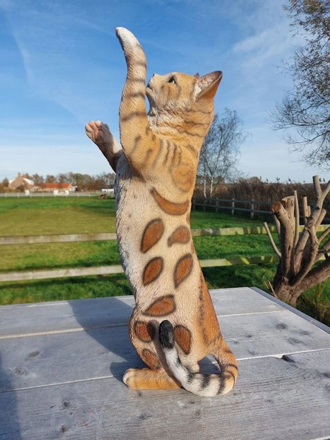 Statue, garden statue 50 cm high scratching cat - 50 cm - polyresin