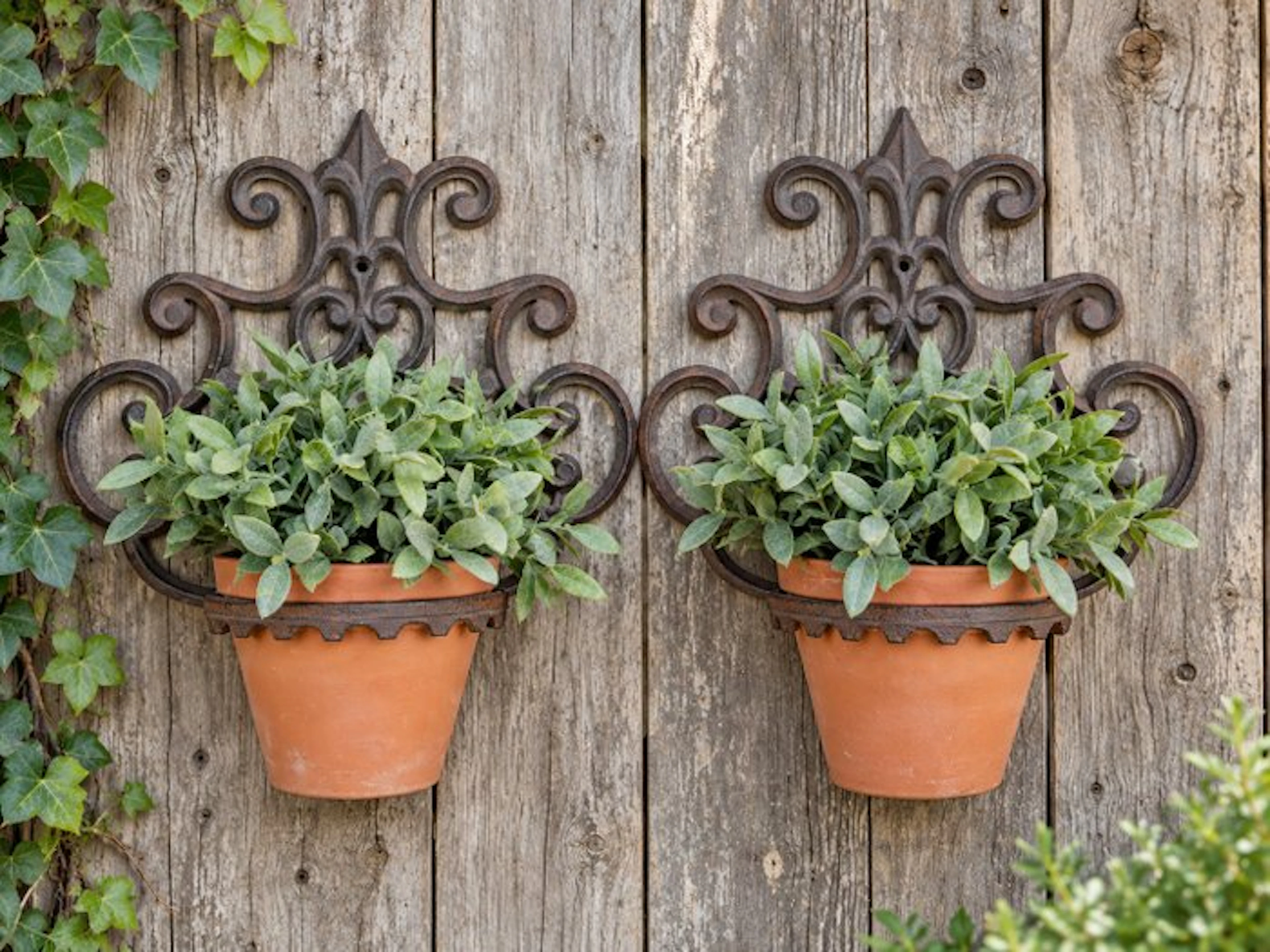 Decorative ornament - Set of 2 – Elegant cast-iron wall...