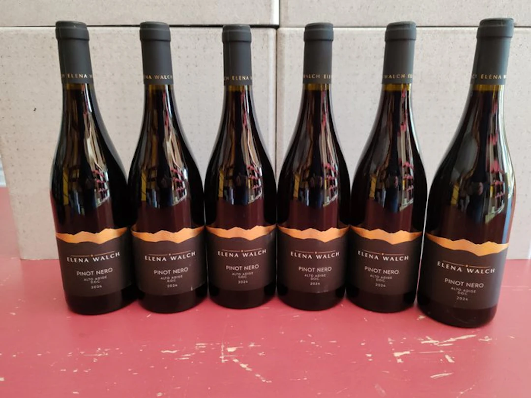 2024 Elena Walch Pinot Nero - Trentino Alto Adige - 6 Bottles (0.75L)