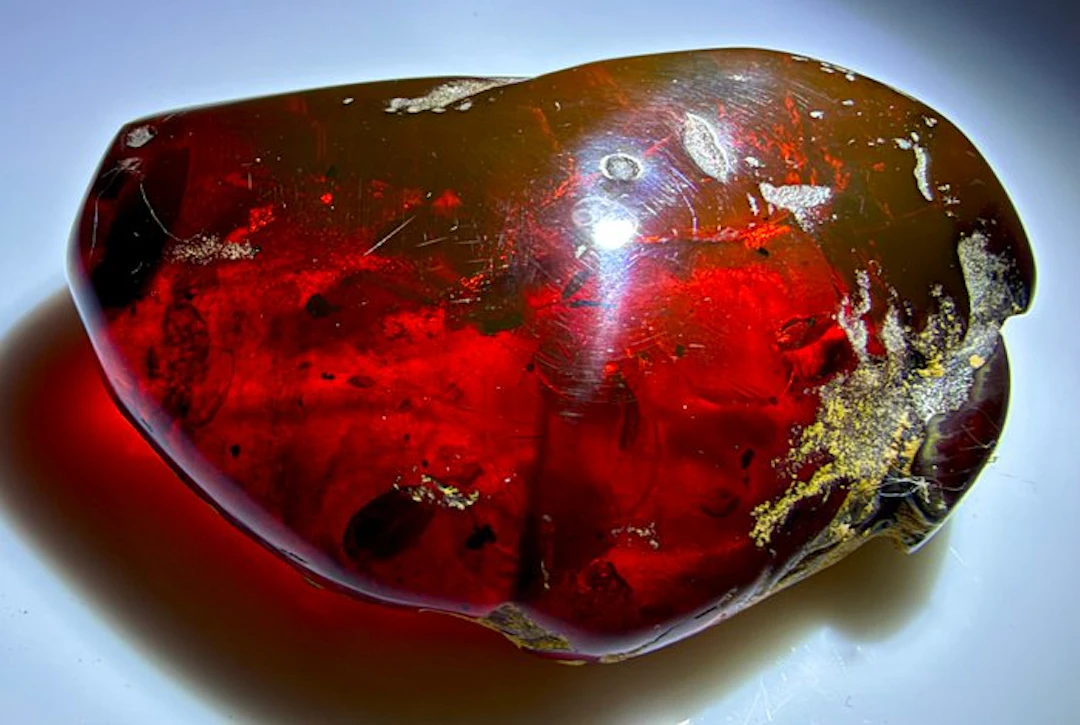 Dominican Amber!! High Quality- No Reserve Price- 27.73 g