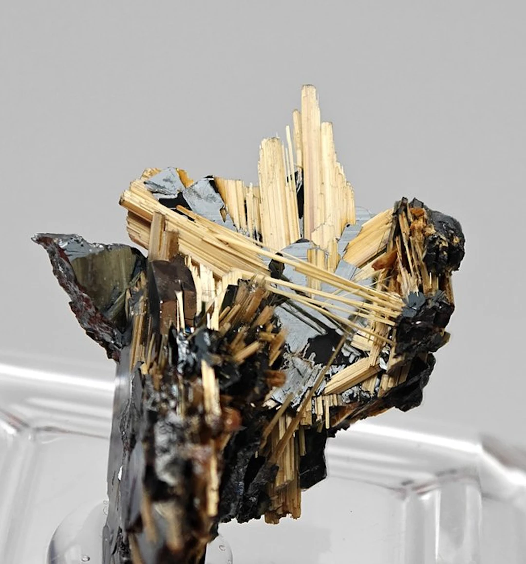 Golden rutile with glossy black hematite