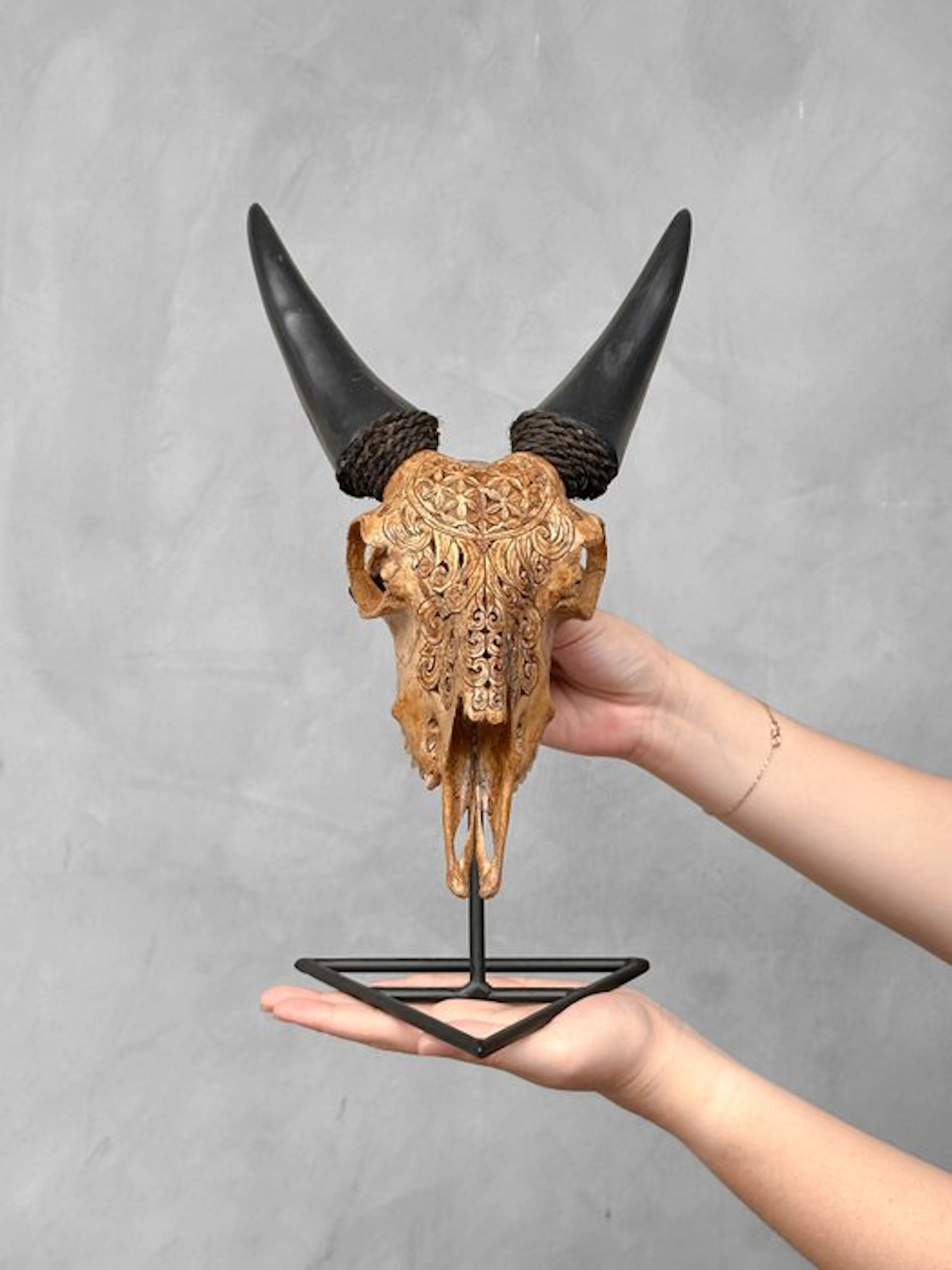 NO RESERVE PRICE - Authentic Brown Carved Goat Skull on a...