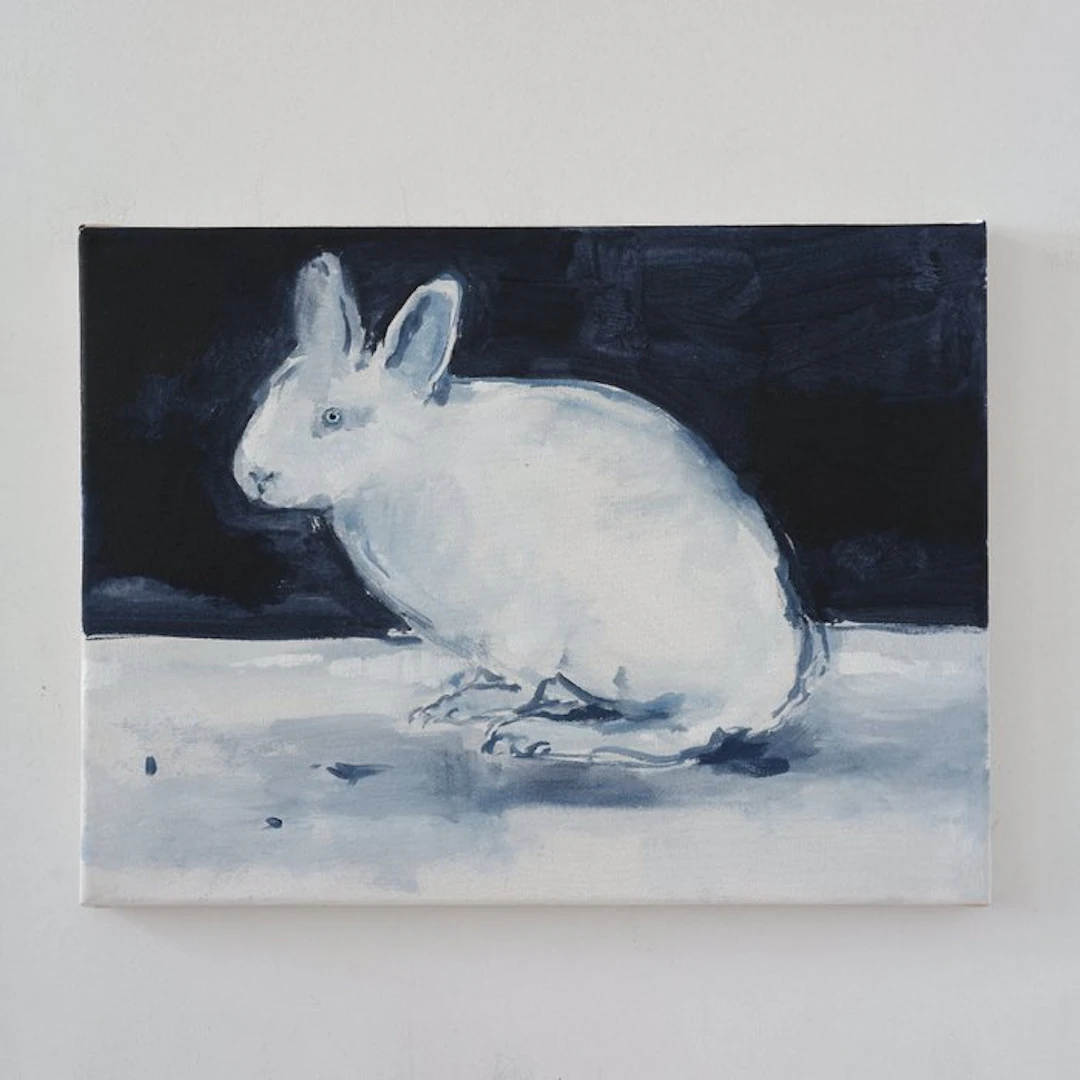 Matthieu van Riel - Rabbit