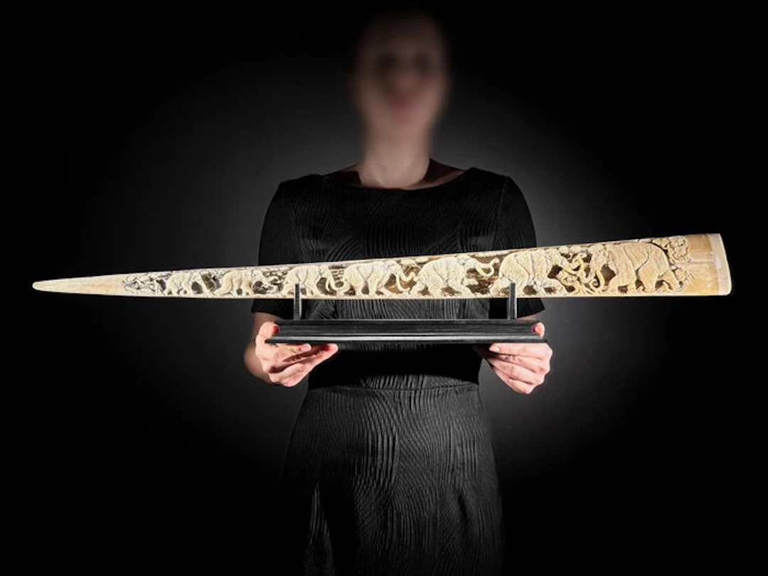 NO RESERVE PRICE - A Large Carved Swordfish Tusk with...