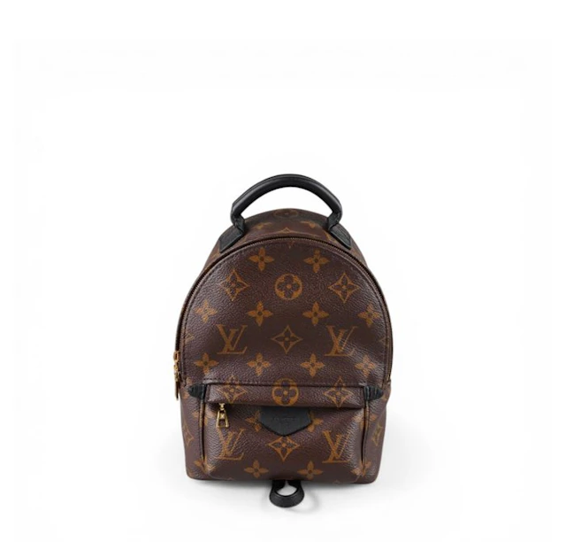 Louis Vuitton - Palm Springs Mini - Bag