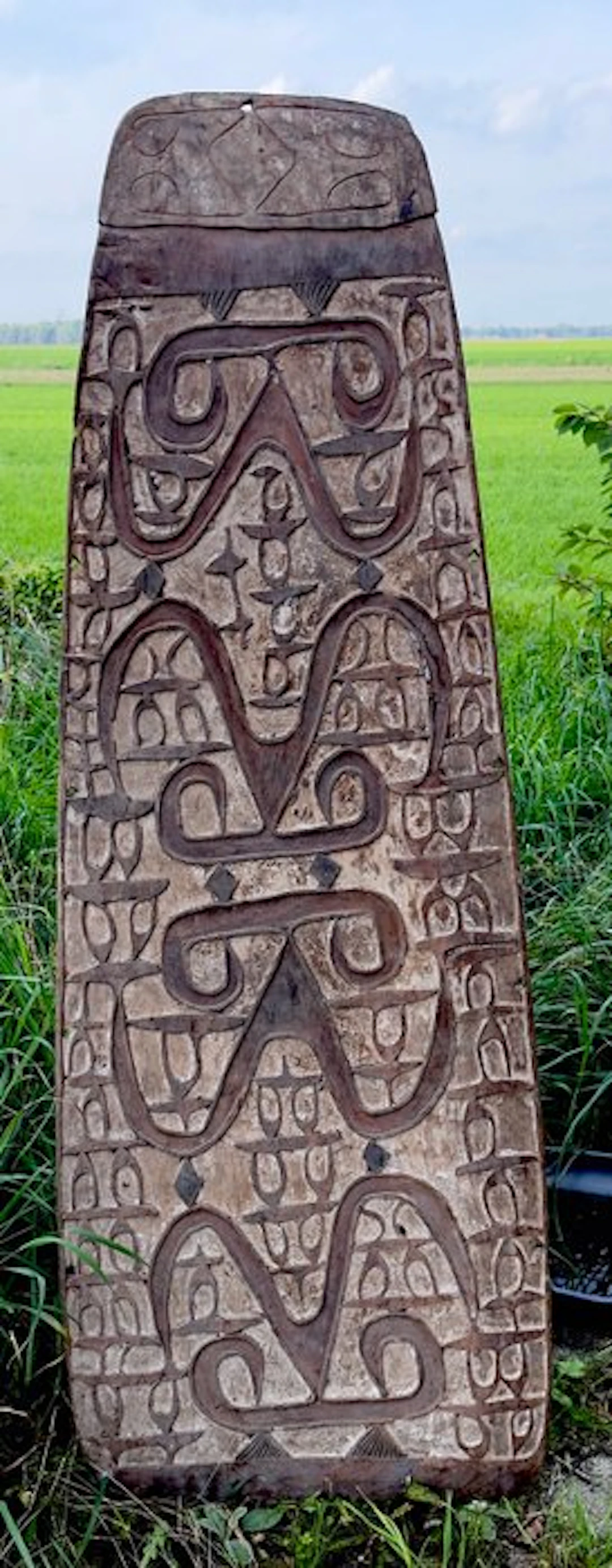 Superb old shield headhunters west Papua- Asmat...