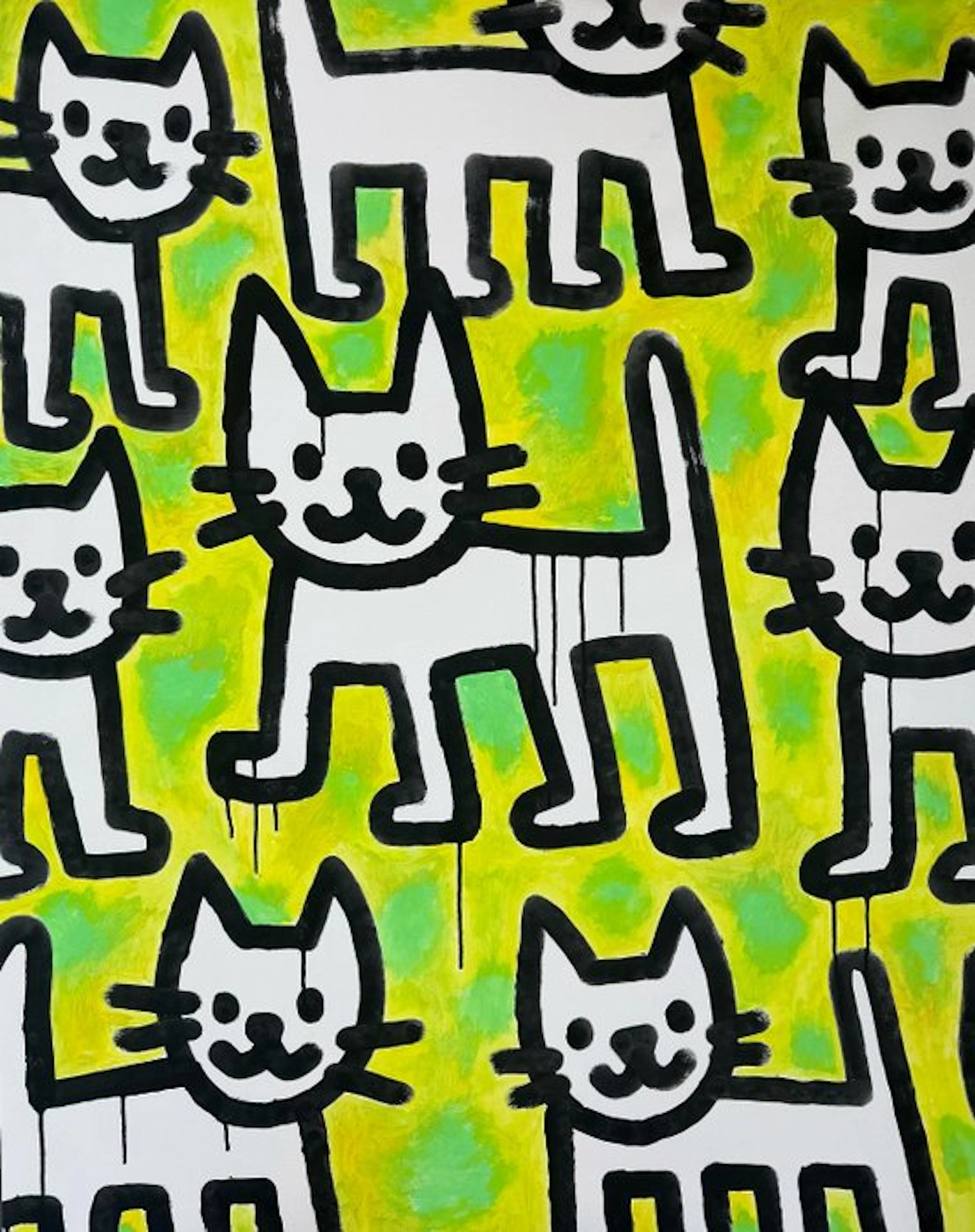 Roger Haus (1984) - Haus Cat IV - XL
