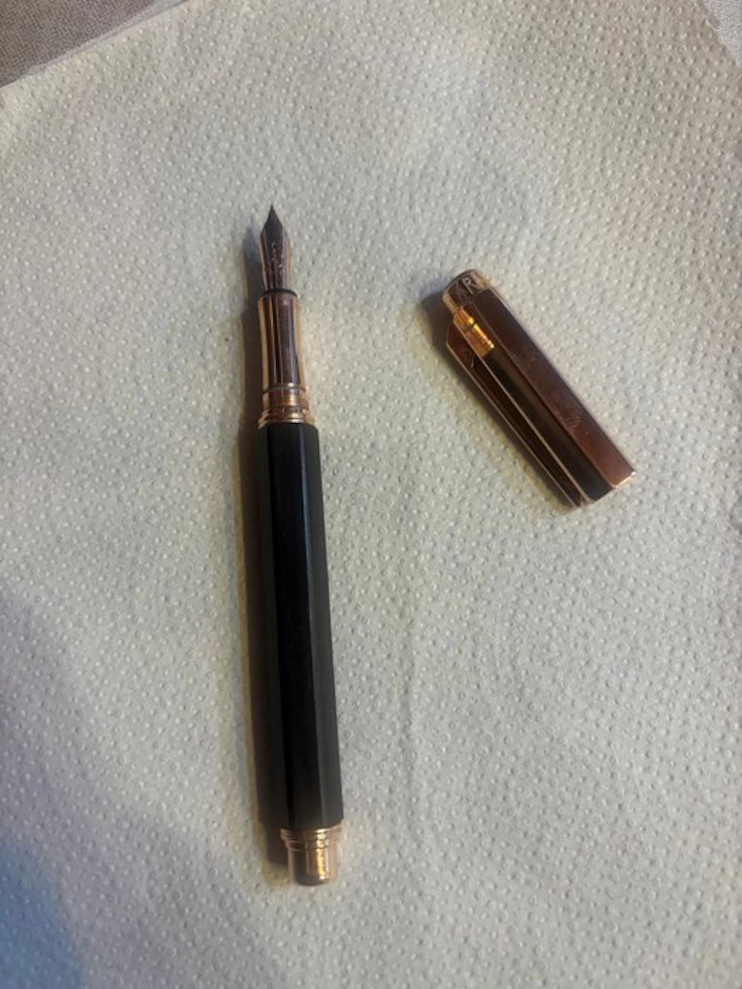 Caran d'Ache - Fountain pen