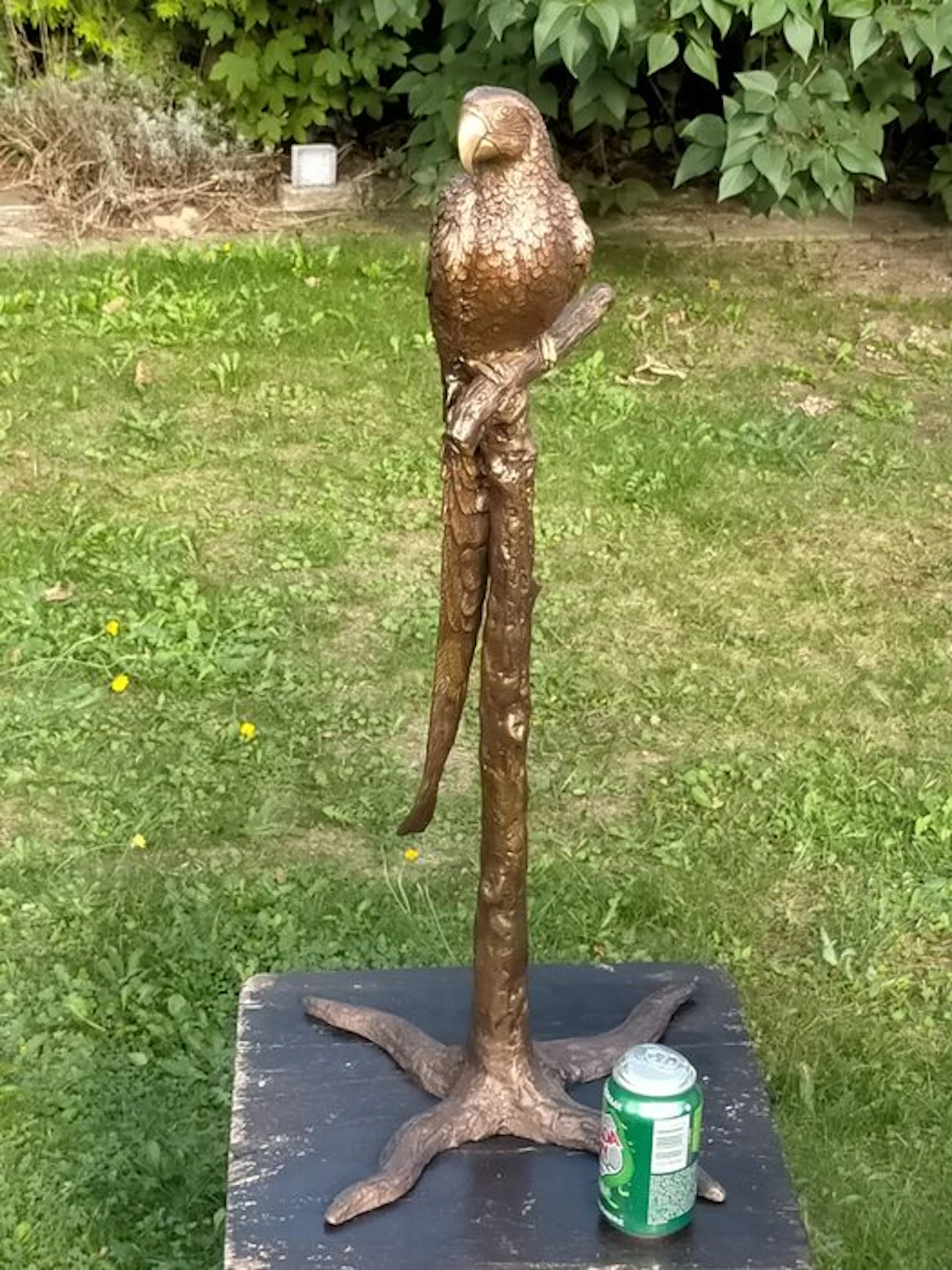 Sculpture, parrot on tree - 78 cm - Bronze