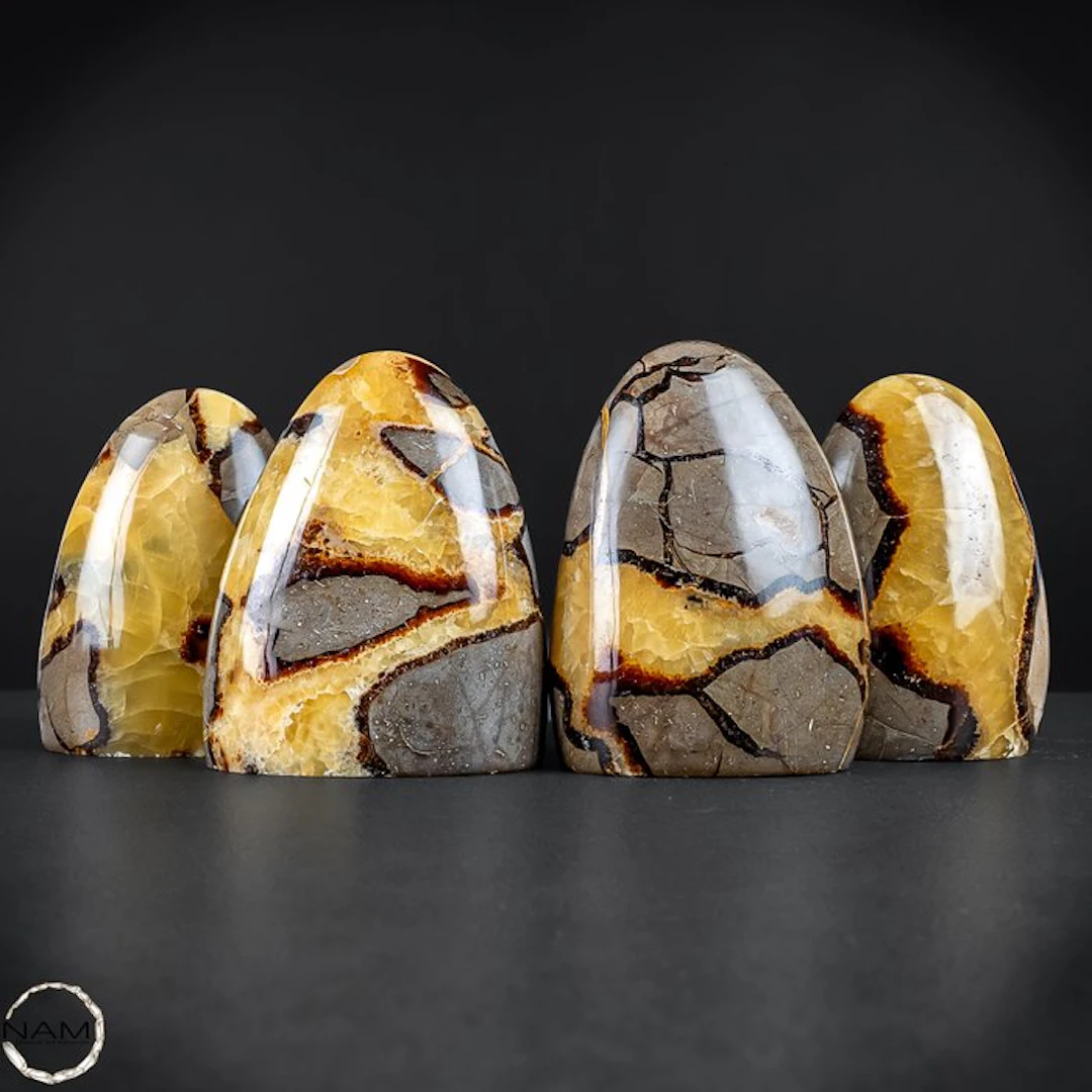 Powerful Earth energy – Exclusive Septarian free-form set...