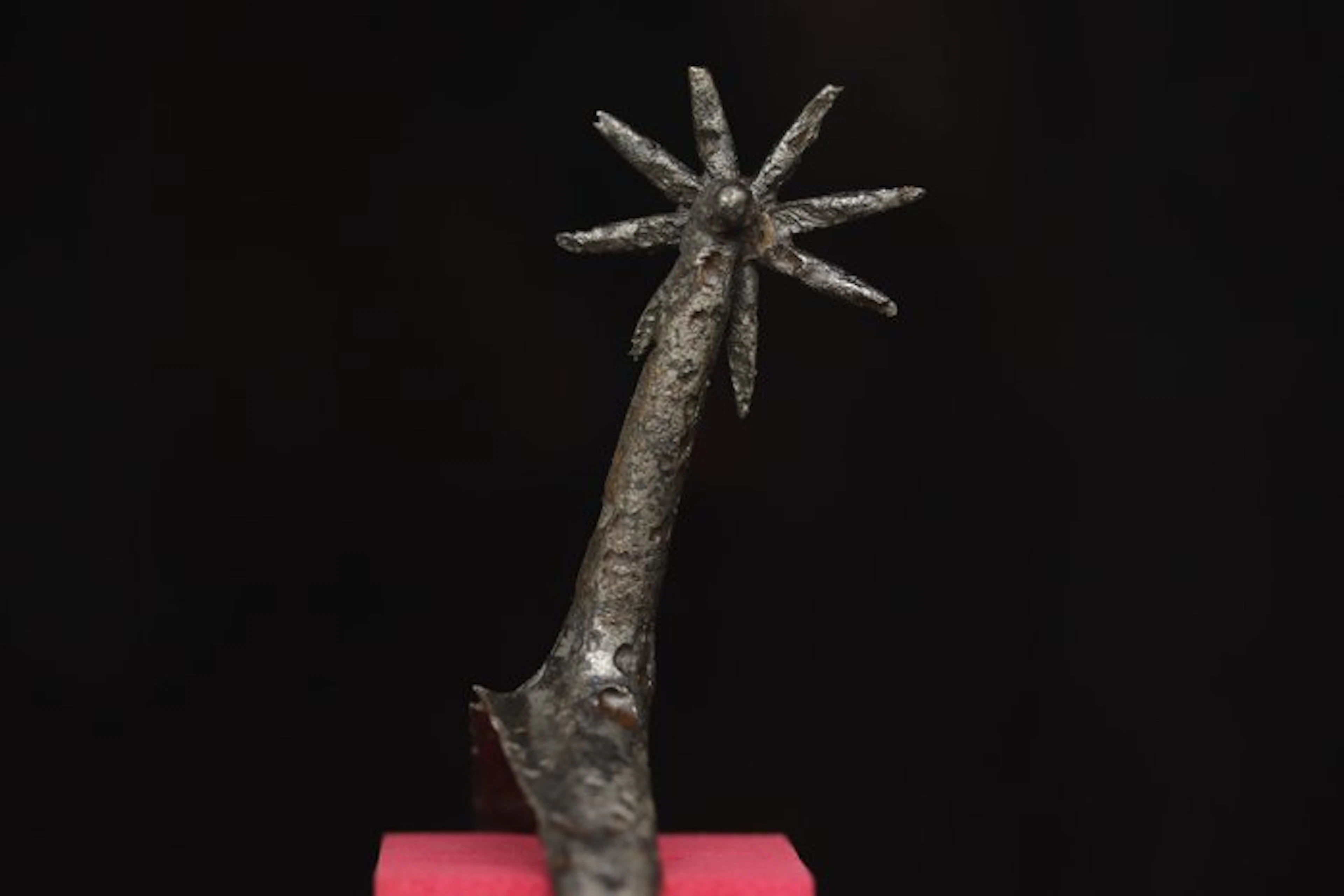 Medieval (Gothic) - Iron Military Equestrian Spur - 17 cm (No reserve price)