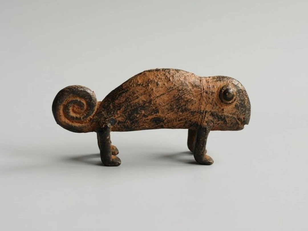 Chameleon - Africa (No reserve price)