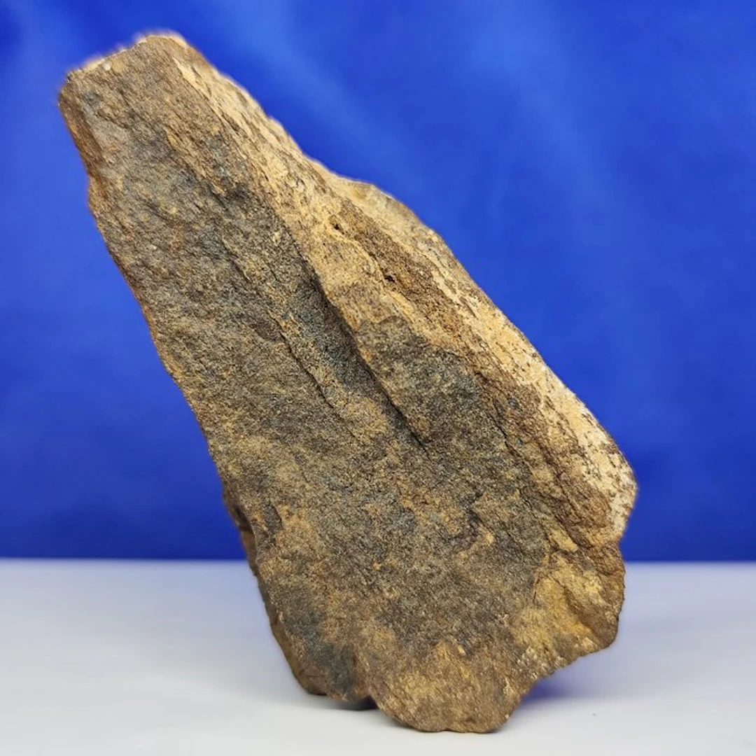 XL CHONDRITE of ENSTATITE!!! Coming from the orbit of...