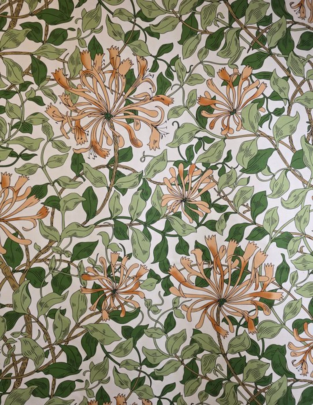 William Morris fabric 'Honeysuckle' Honeysuckle - 300x280...