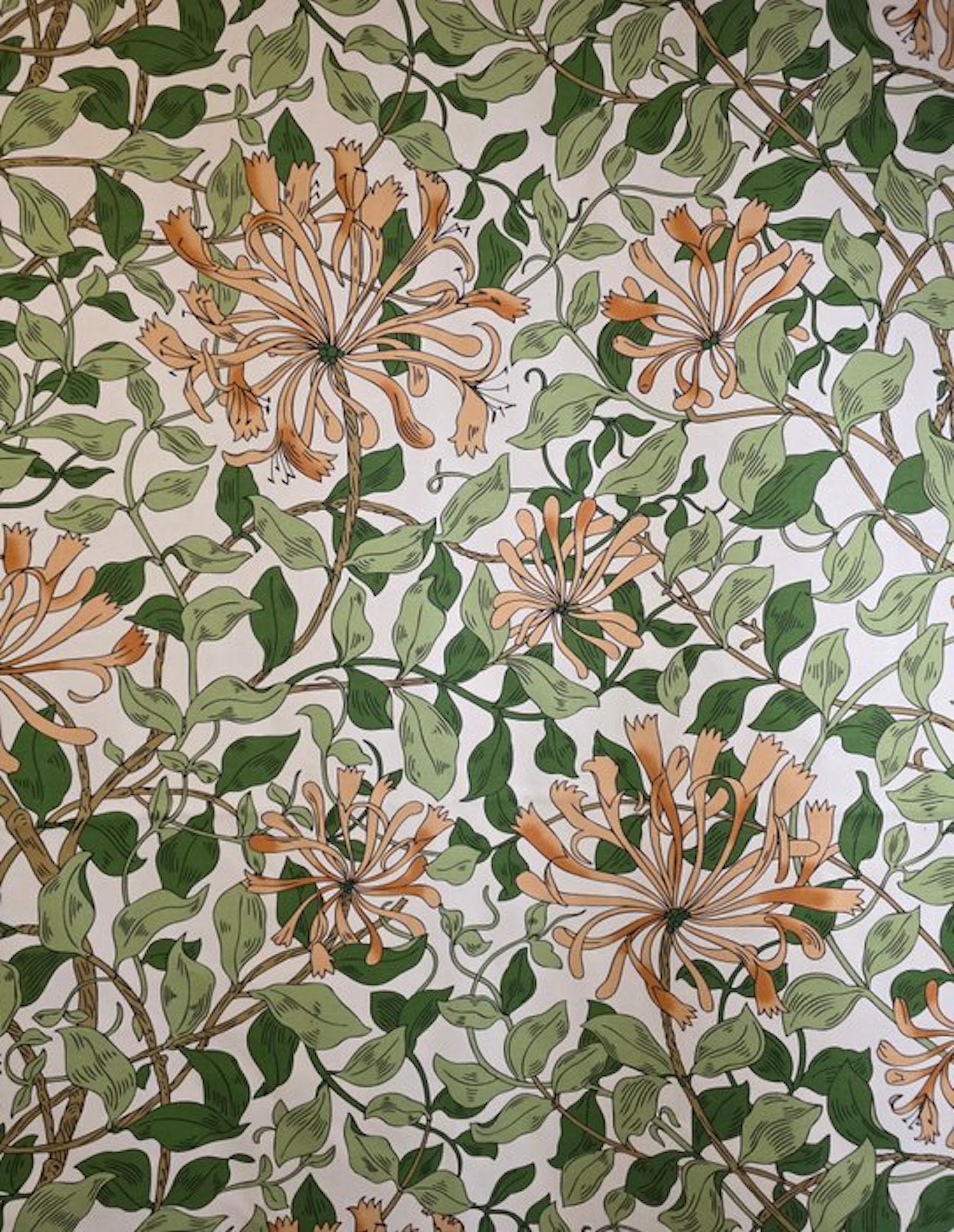 William Morris fabric 'Honeysuckle' Honeysuckle - 300x280...