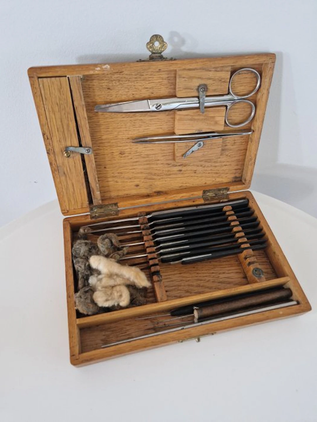 J.C. Th. Marius - Medical instrument - Ebony - Surgical dissection set