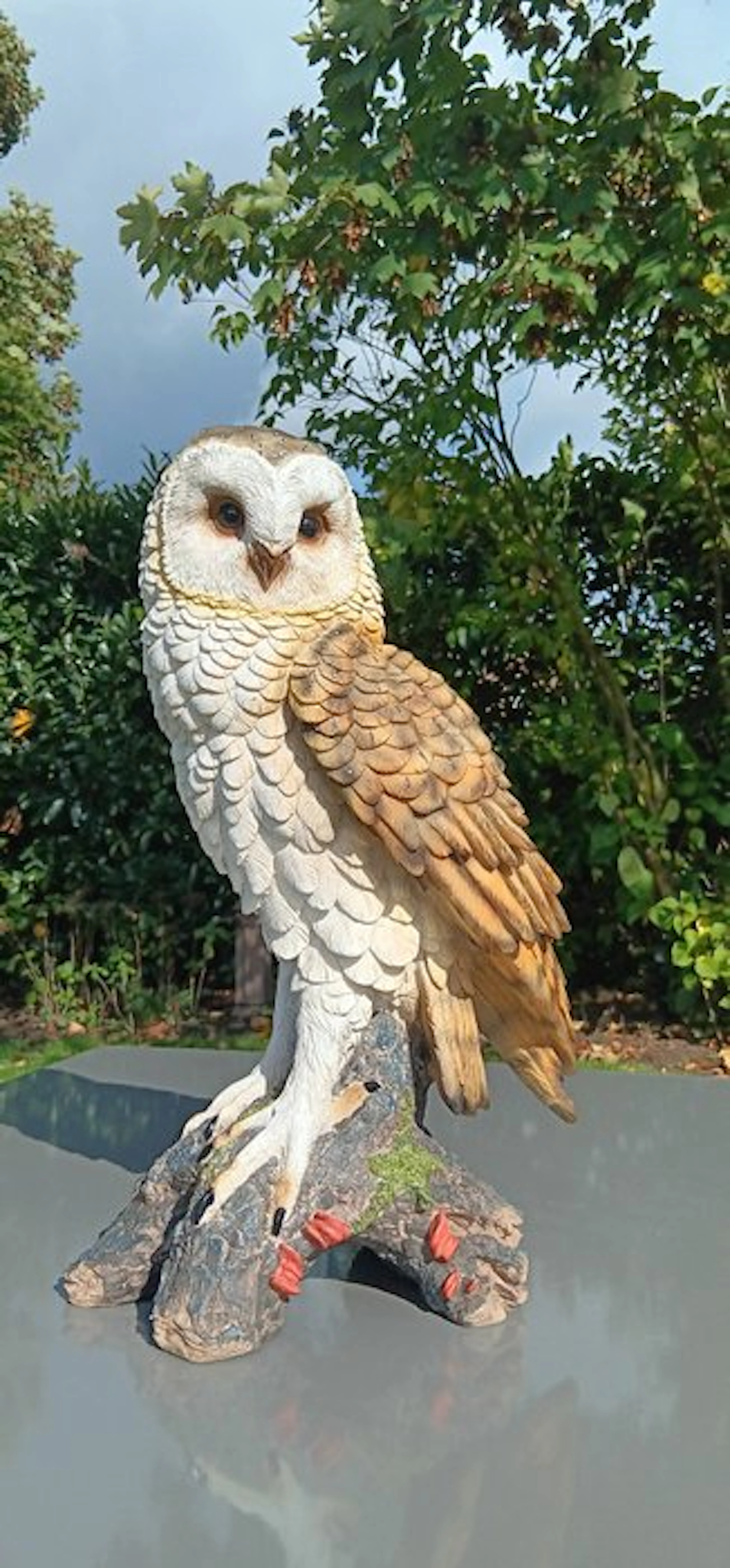Statue, XXL levensecht uilenbeeld - 41.5 cm - resin
