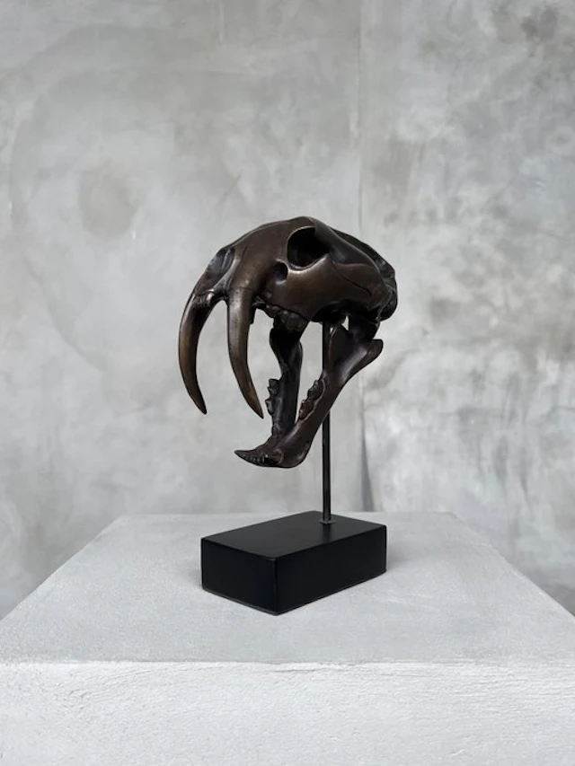 Sculpture, NO RESERVE PRICE - Smilodon - 20 cm - Bronze