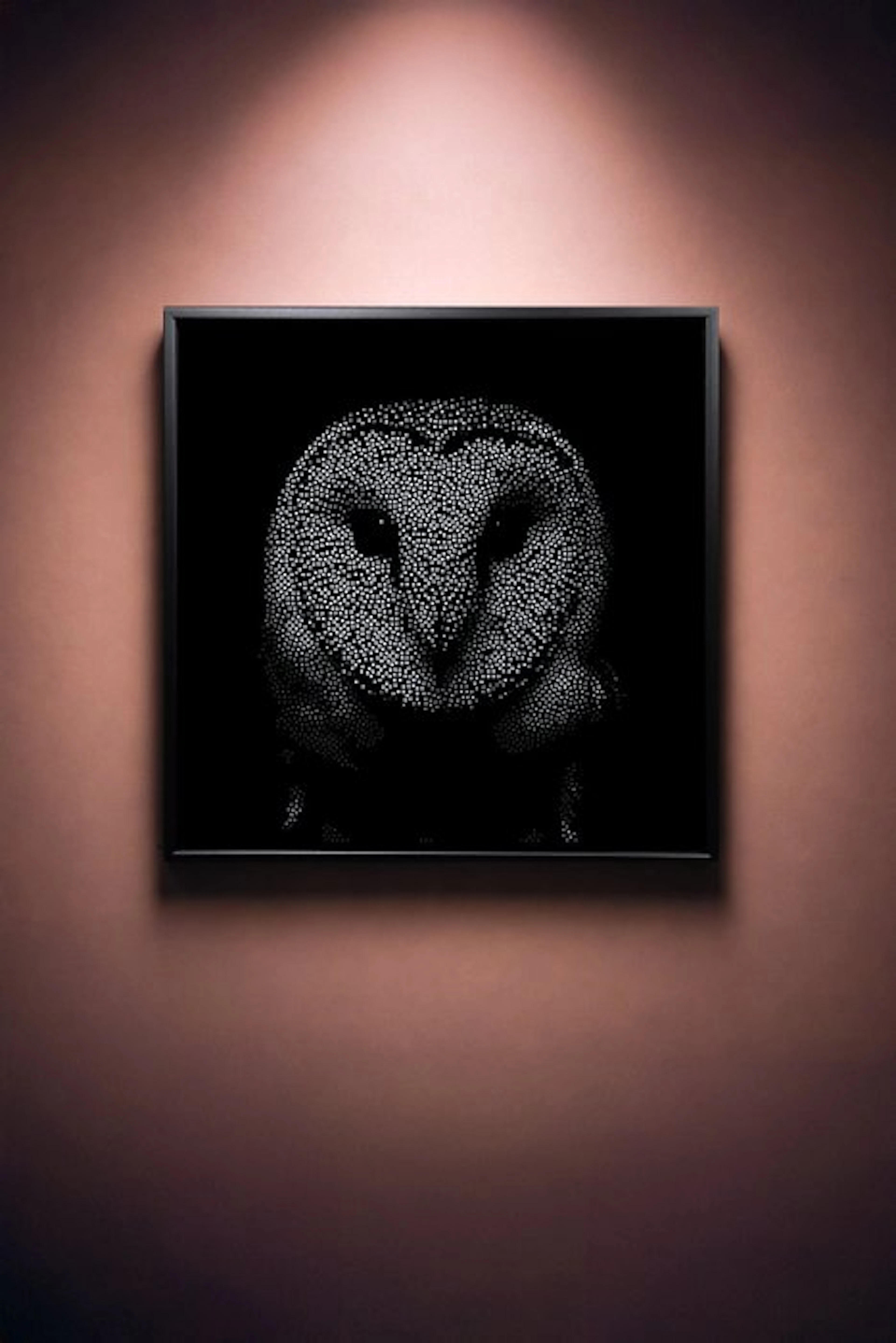 Tijs Dragtsma (1992) - Void. A Face Sharpened by Alert