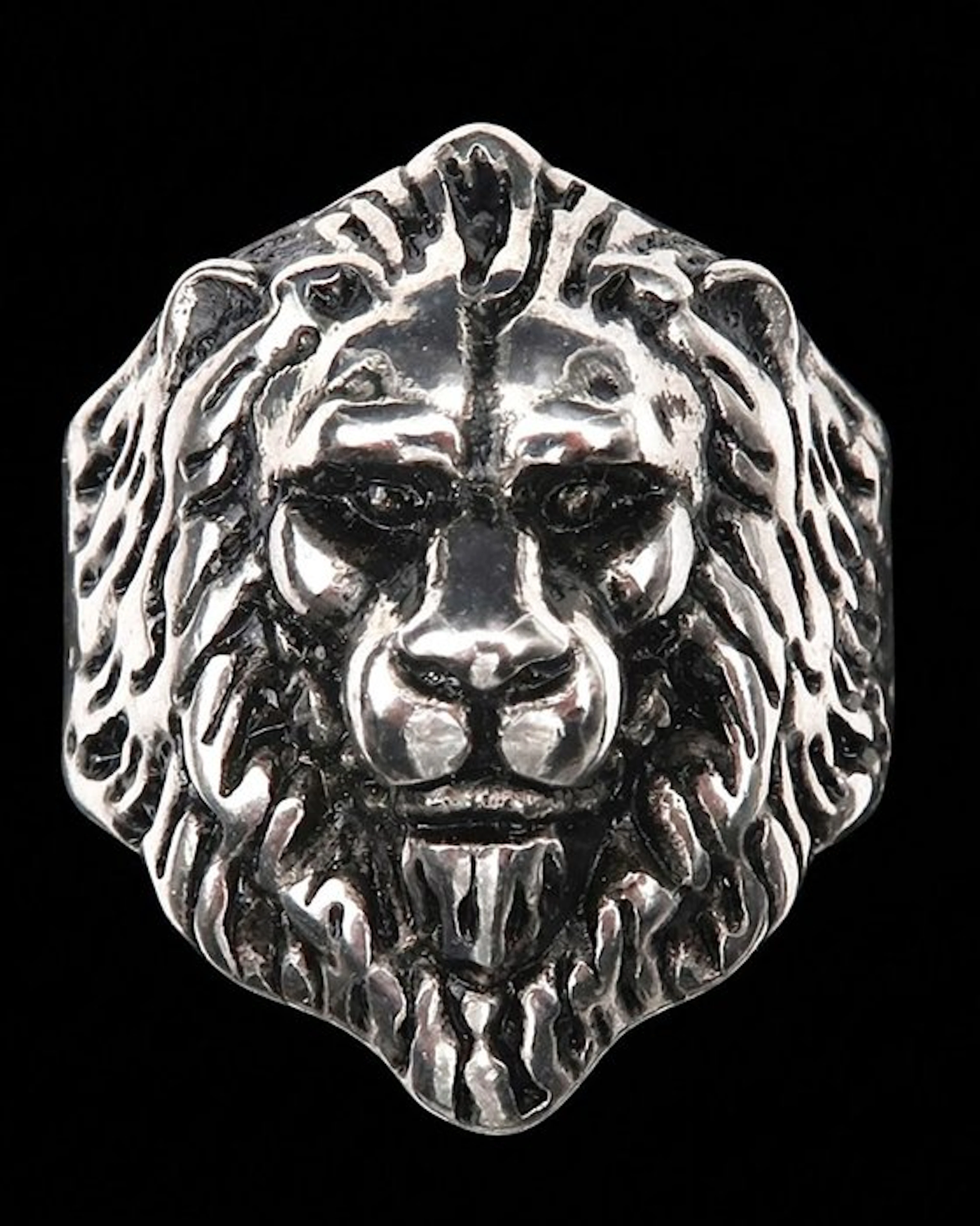 Lady Knight of the Lion of the Crusaders – Medieval...