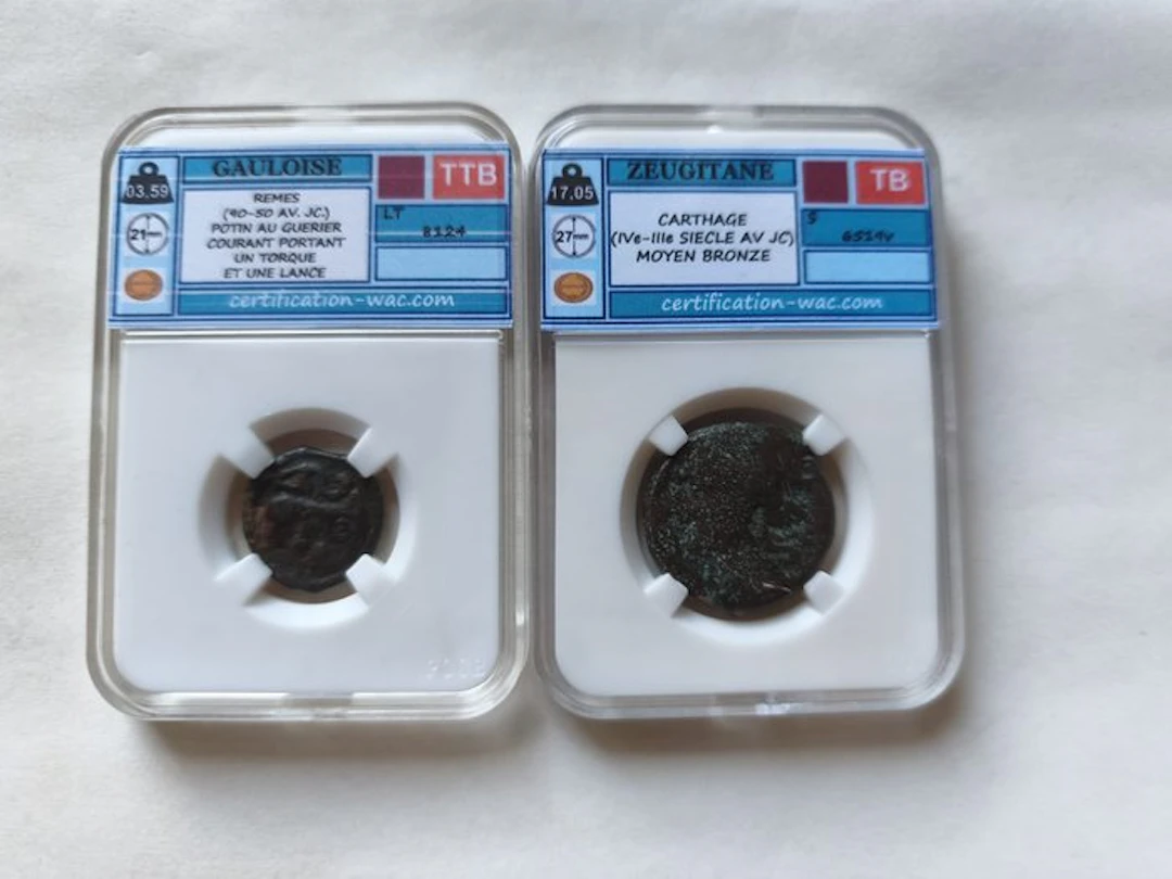 Antiquity Lote de 2 monedas Celt, Remes & Zeugitana (No reserve price)