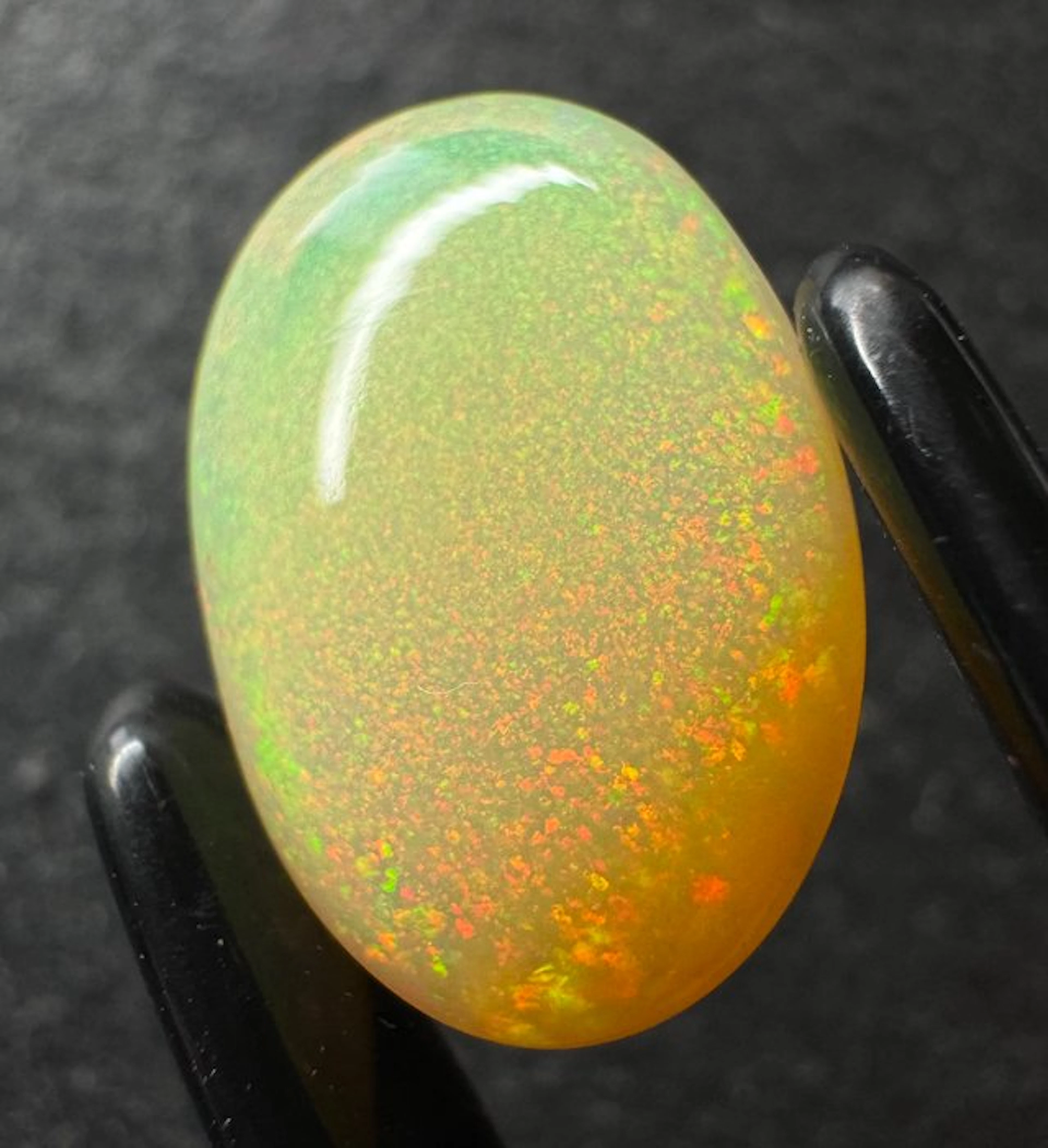 Opal Cabochon- 1.73 g