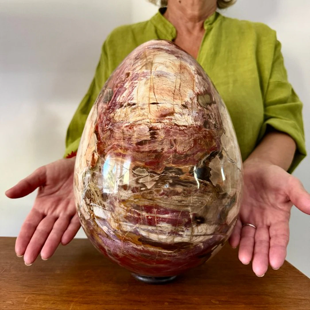 19.6 kg - Monumental sculpture in petrified wood Egg...