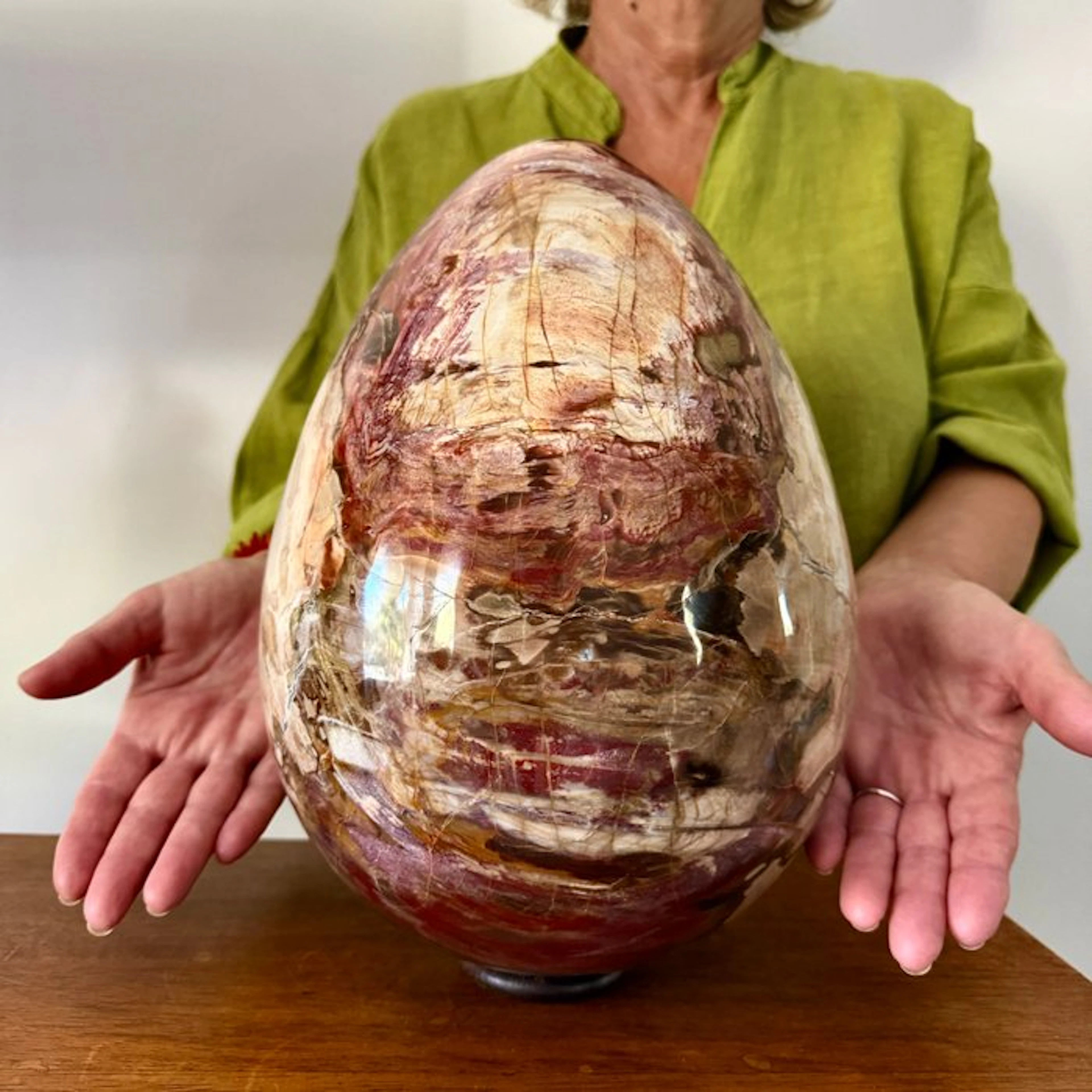 19.6 kg - Monumental sculpture in petrified wood Egg...