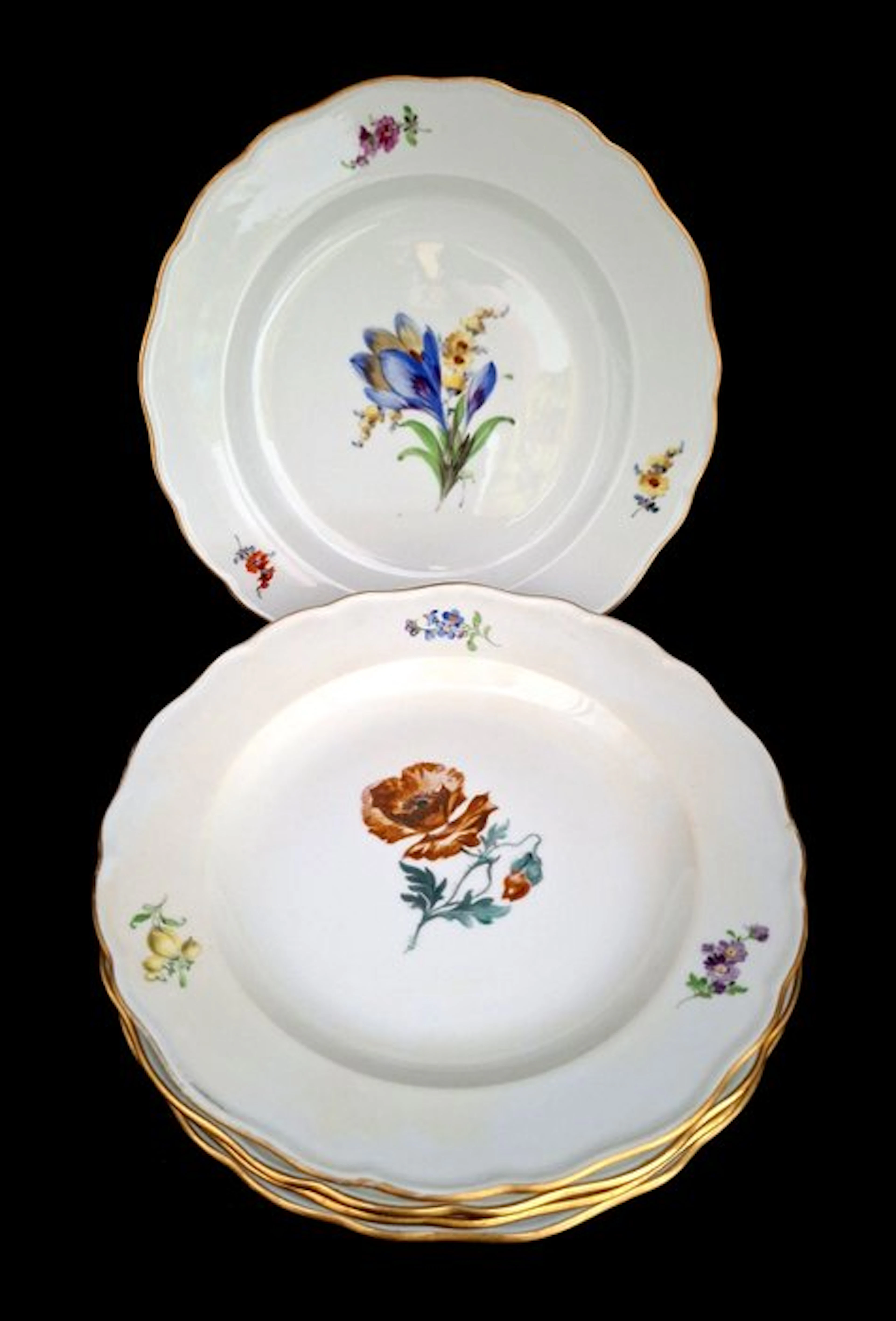 Meissen - Table service (5) - 5 x exclusive plates with floral decoration