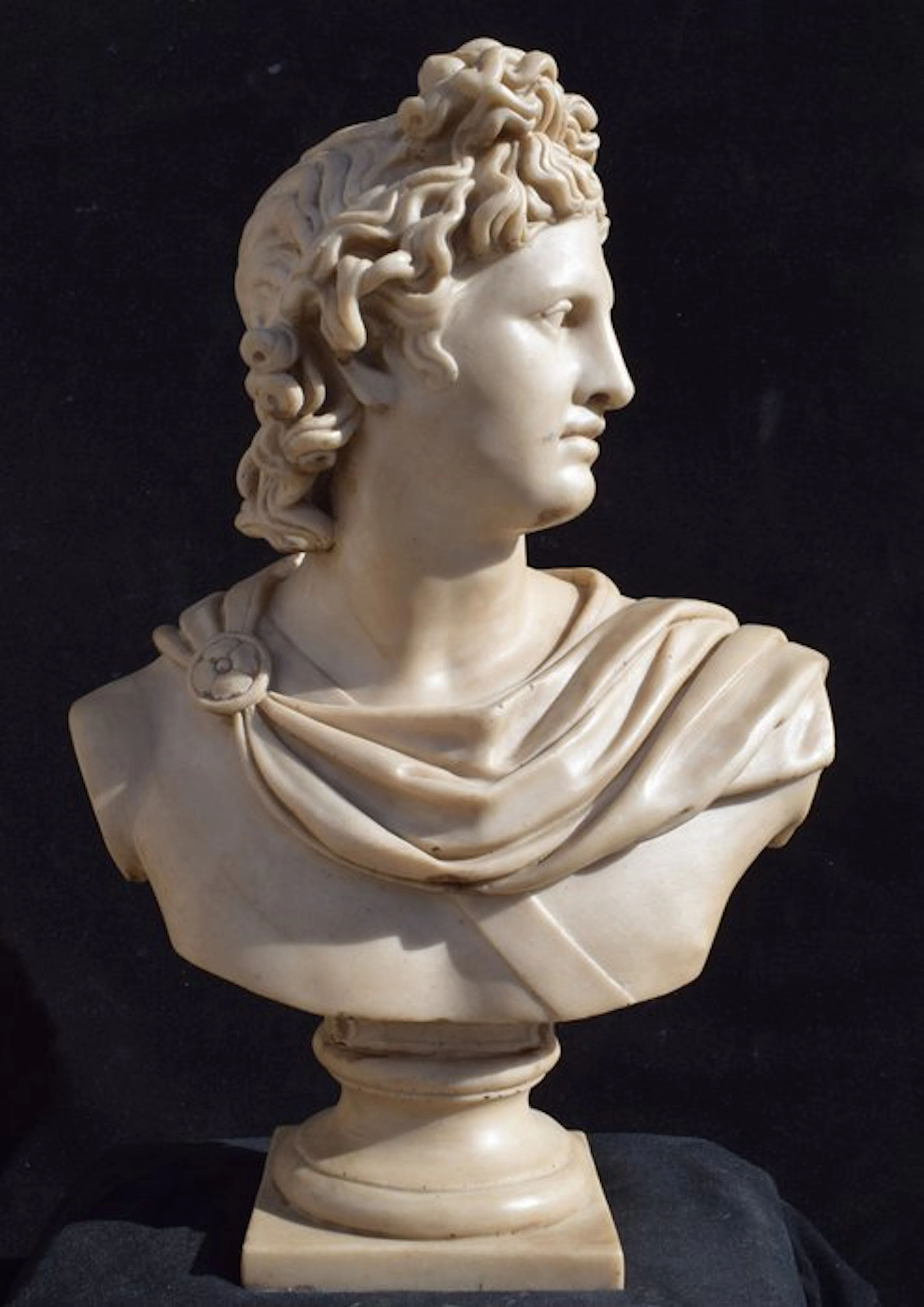 Sculpture, Busto Apollo del Belvedere - 46 cm - Reassembled marble