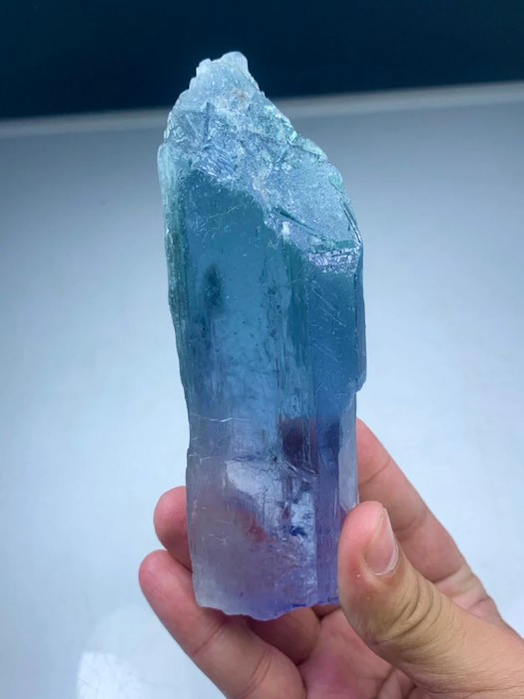 Bicolour kunzite Crystal - Height: 140 mm - Width: 15 mm- 460 g - (1)