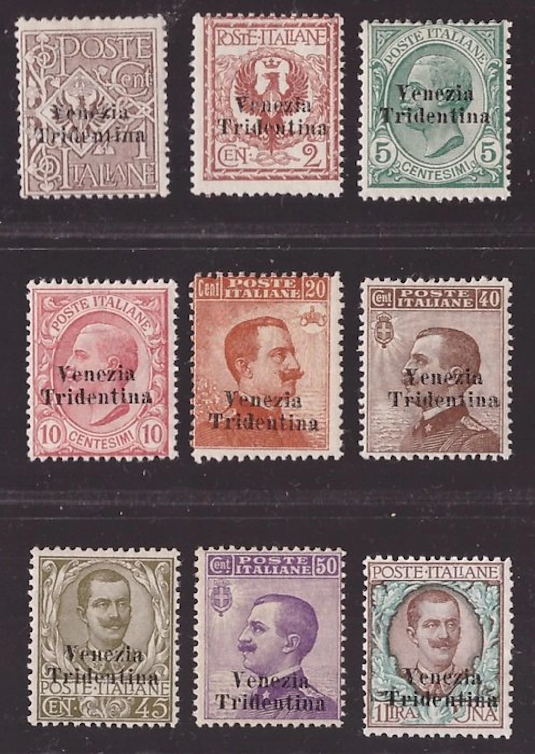 Italy - Trentino 1918 - Two-line overprint series Venezia Tridentina