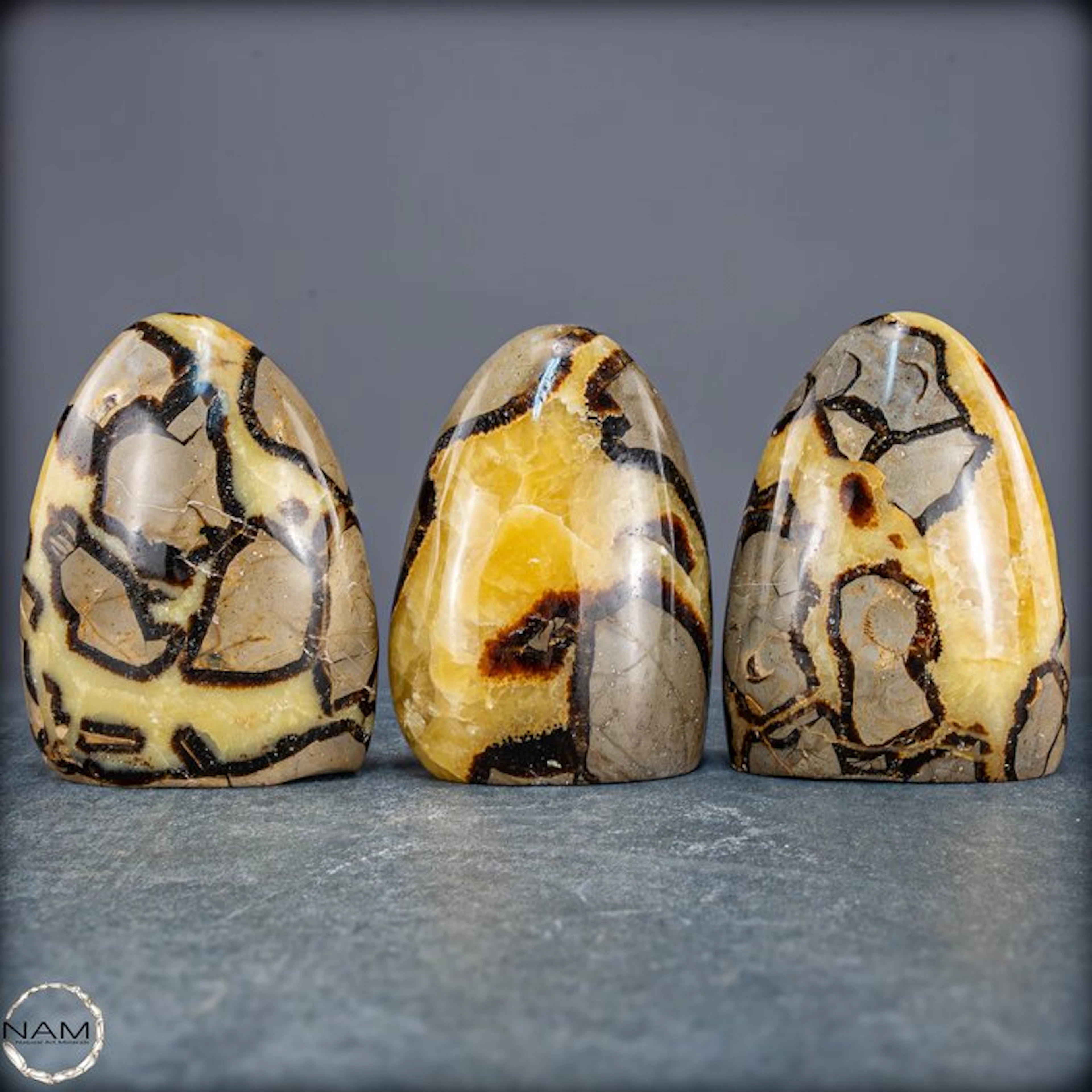 Septarian Set – Three unique freeform shapes made from natural septarian