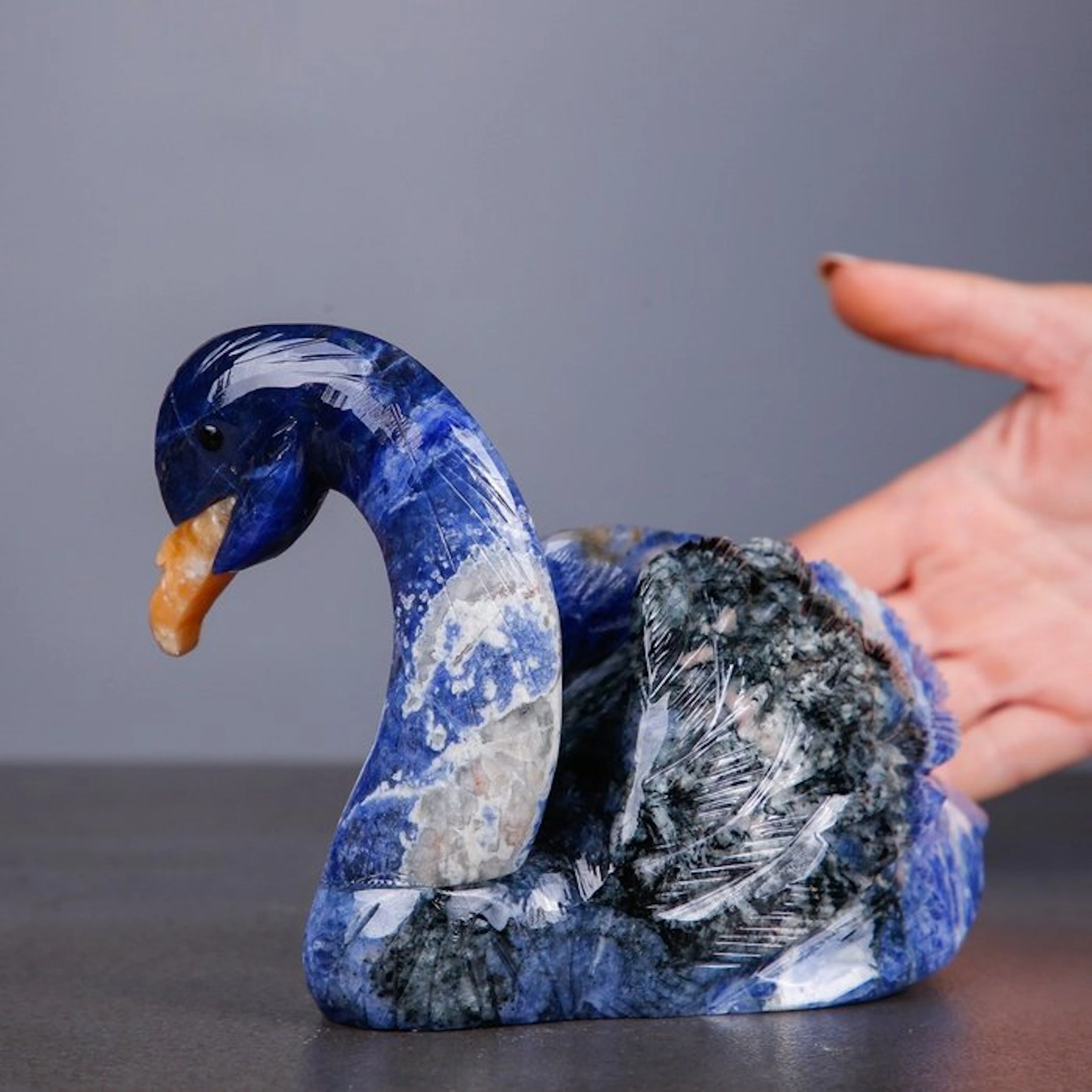 Sodalite Swan Sculpture from Brazil - Perfect Details...