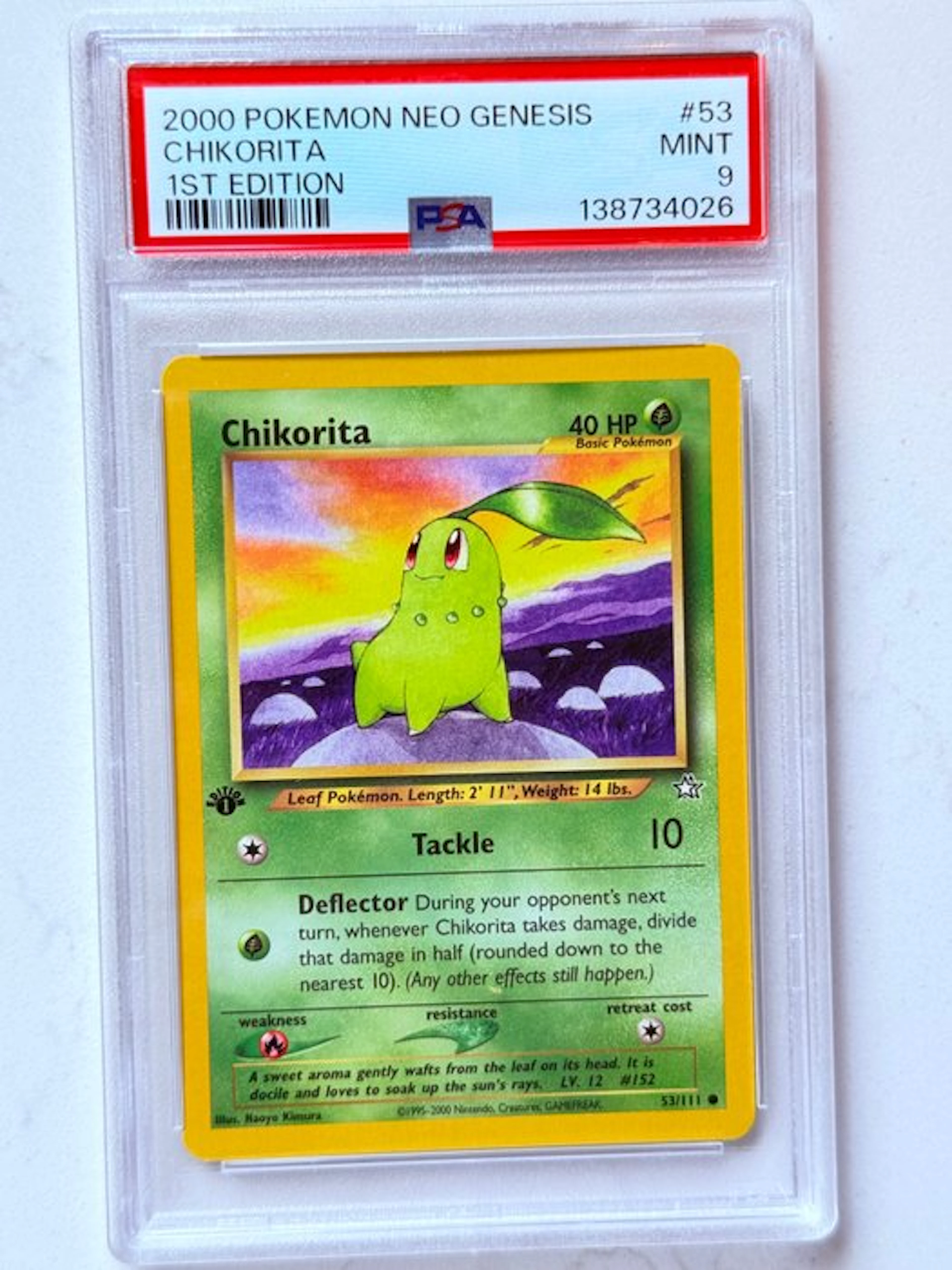 Pokémon - 1 Graded card - Chikorita 53/111 First edition - PSA 9 - Various sets