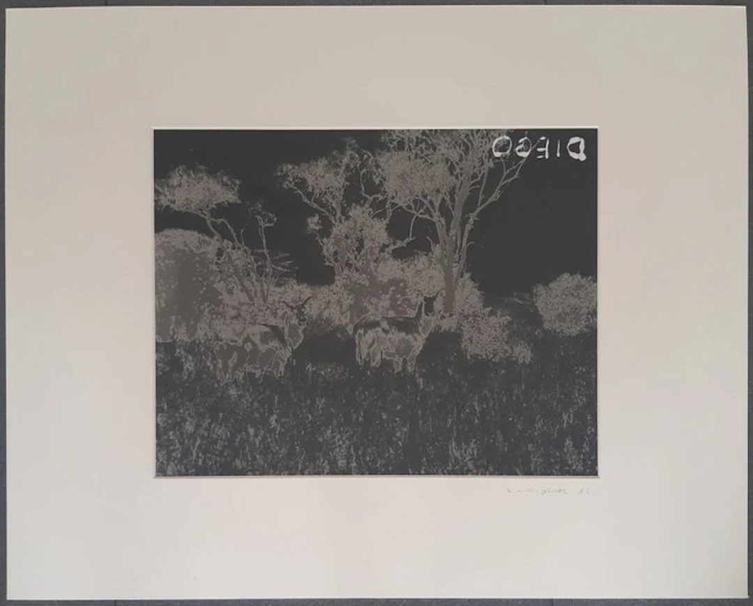 Xesus Vázquez - Diego (De la serie “La frontera del Edén”), 1989