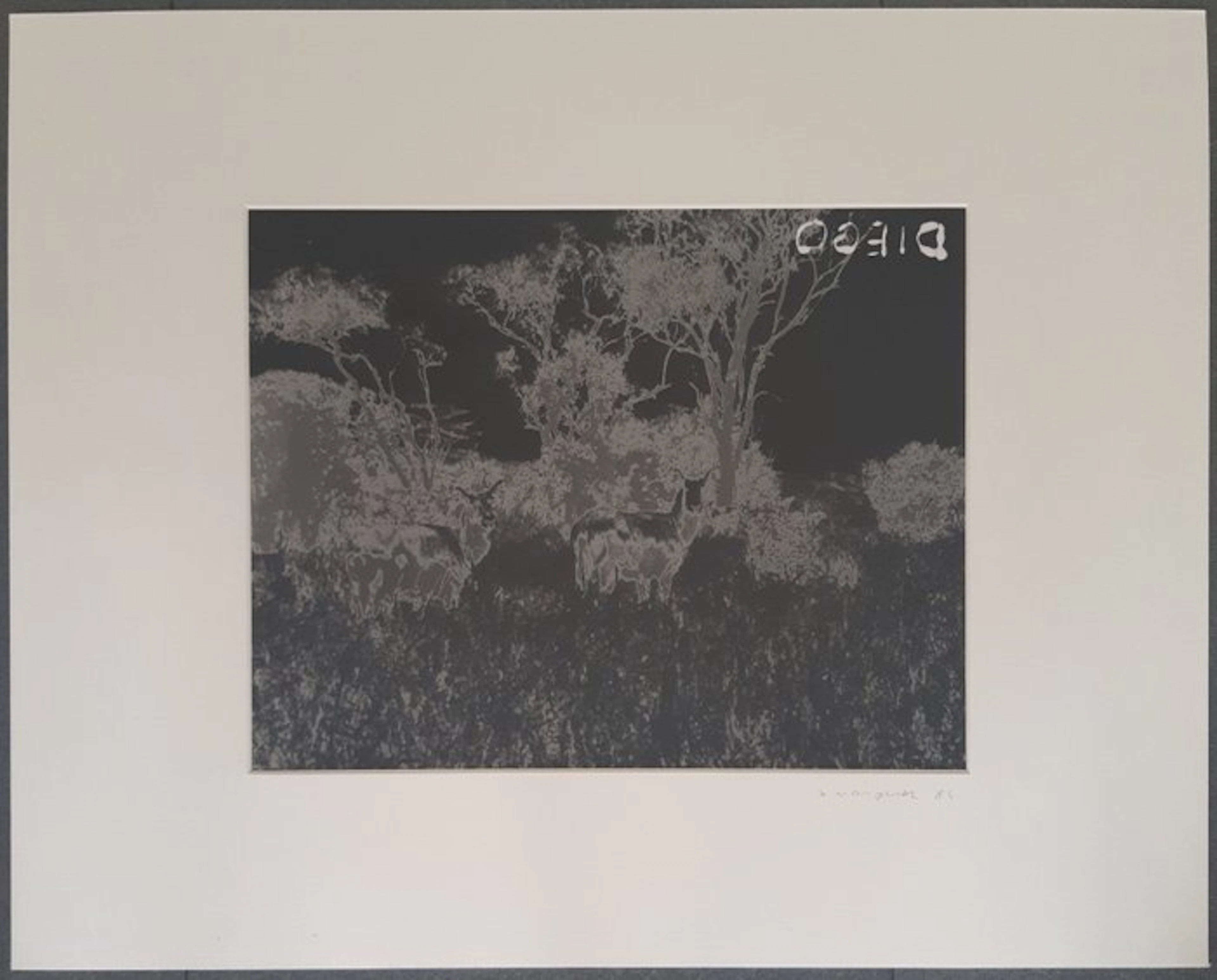 Xesus Vázquez - Diego (De la serie “La frontera del Edén”), 1989