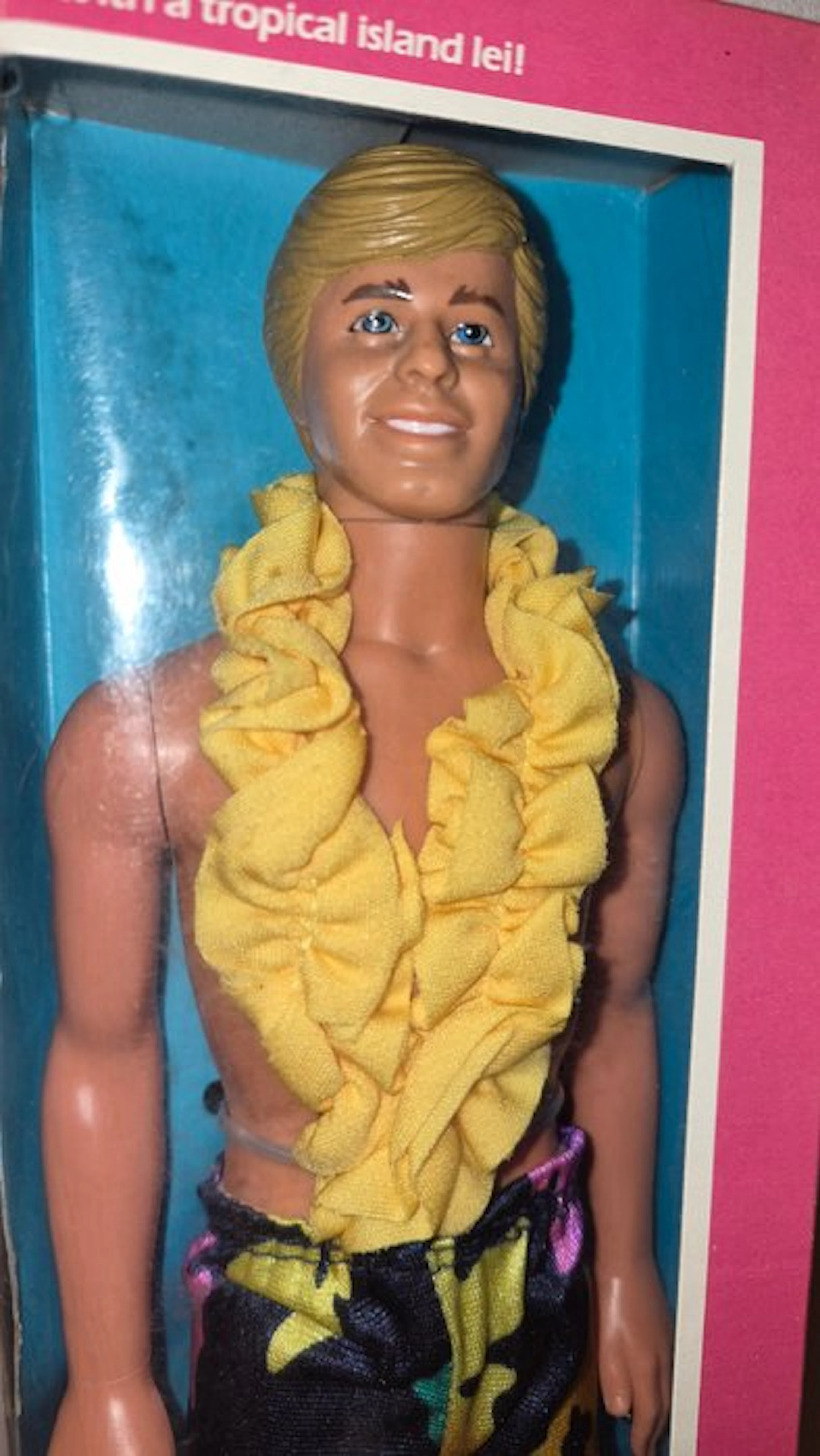 Mattel - Barbie doll Barbie ken tropical chiuso.